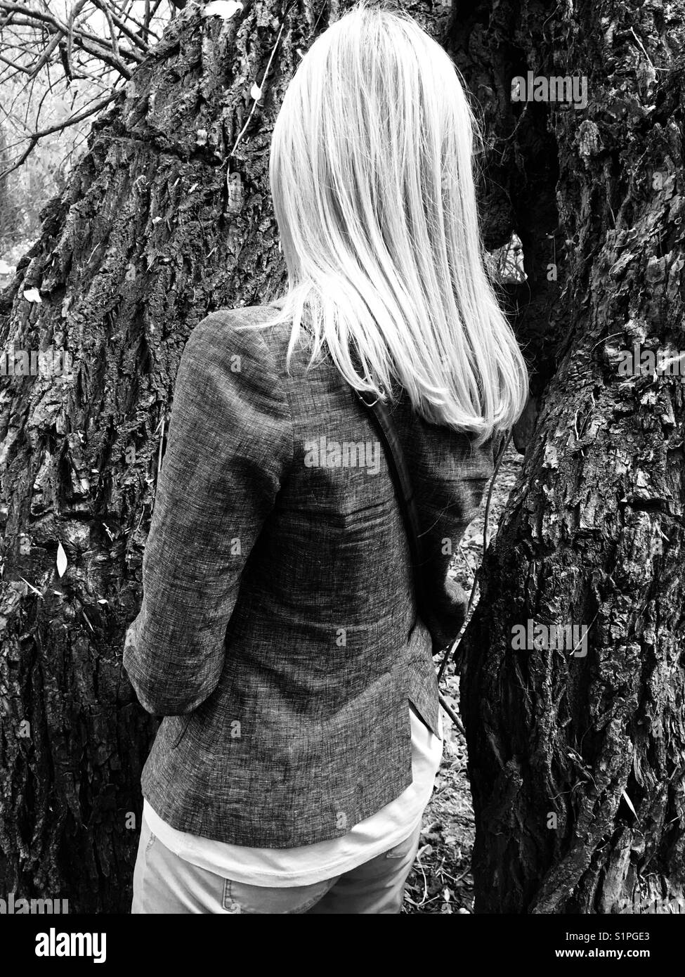 Debout à côté d'un vieil arbre Banque D'Images