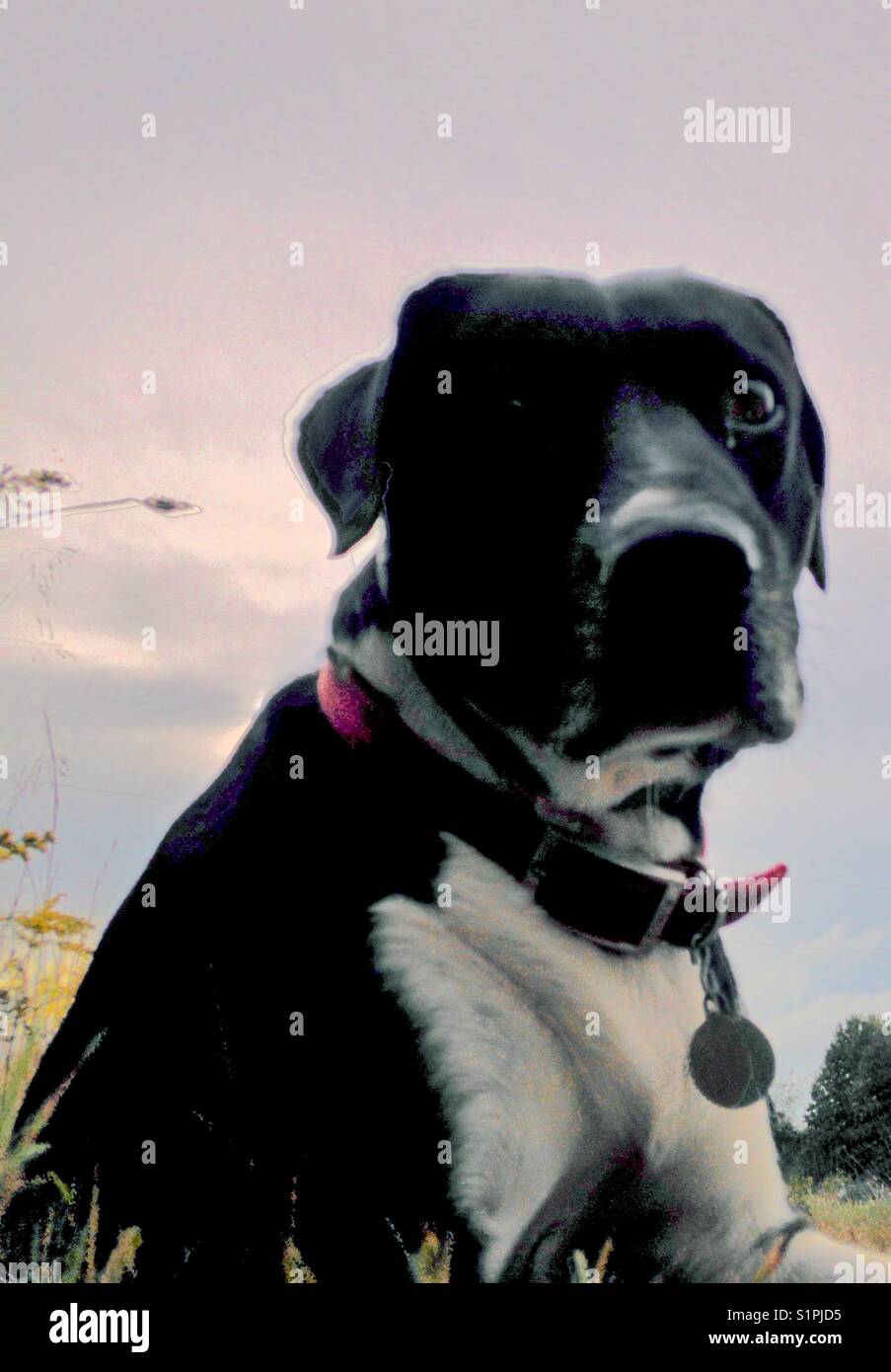 Contact avec les yeux Banque D'Images