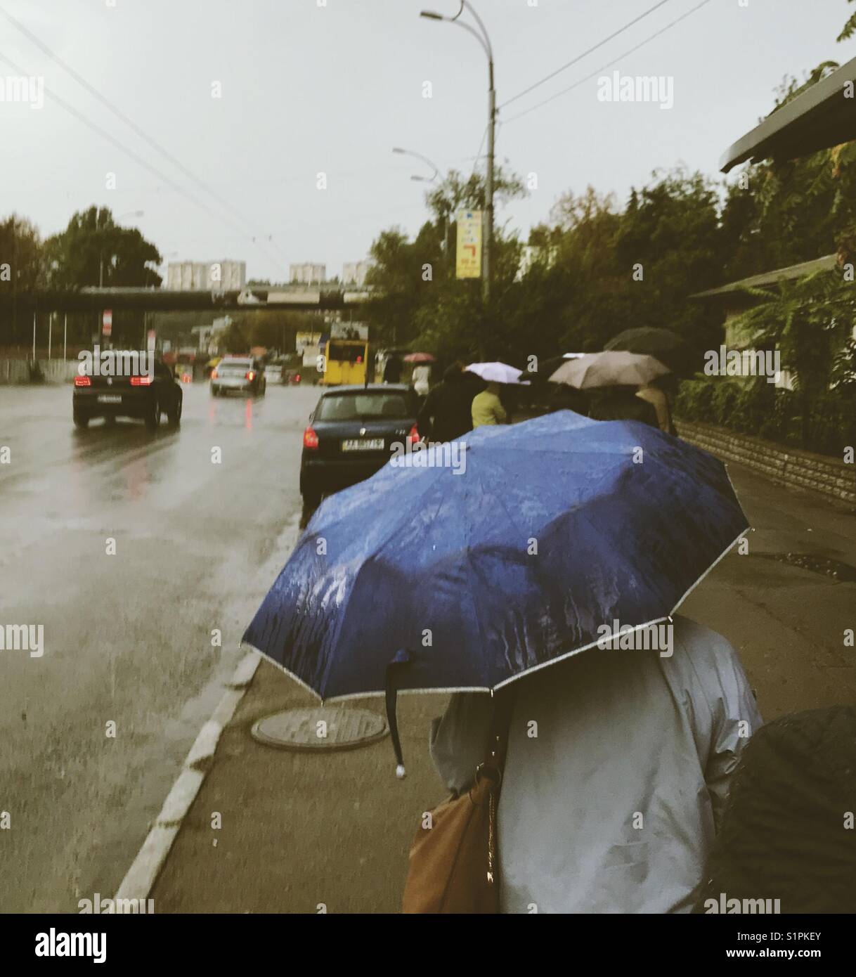 Une personne avec un parapluie bleu sur une matinée pluvieuse dans les rues de Kiev Ville Banque D'Images