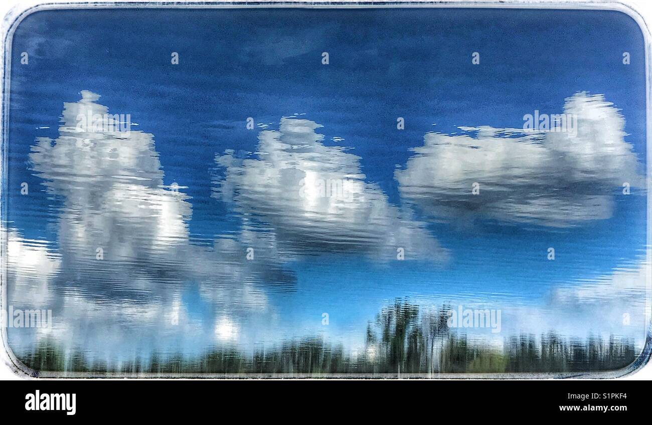 Reflets : ciel, nuages et arbres reflétés au bord du lac - Image de stock capturée avec un smartphone