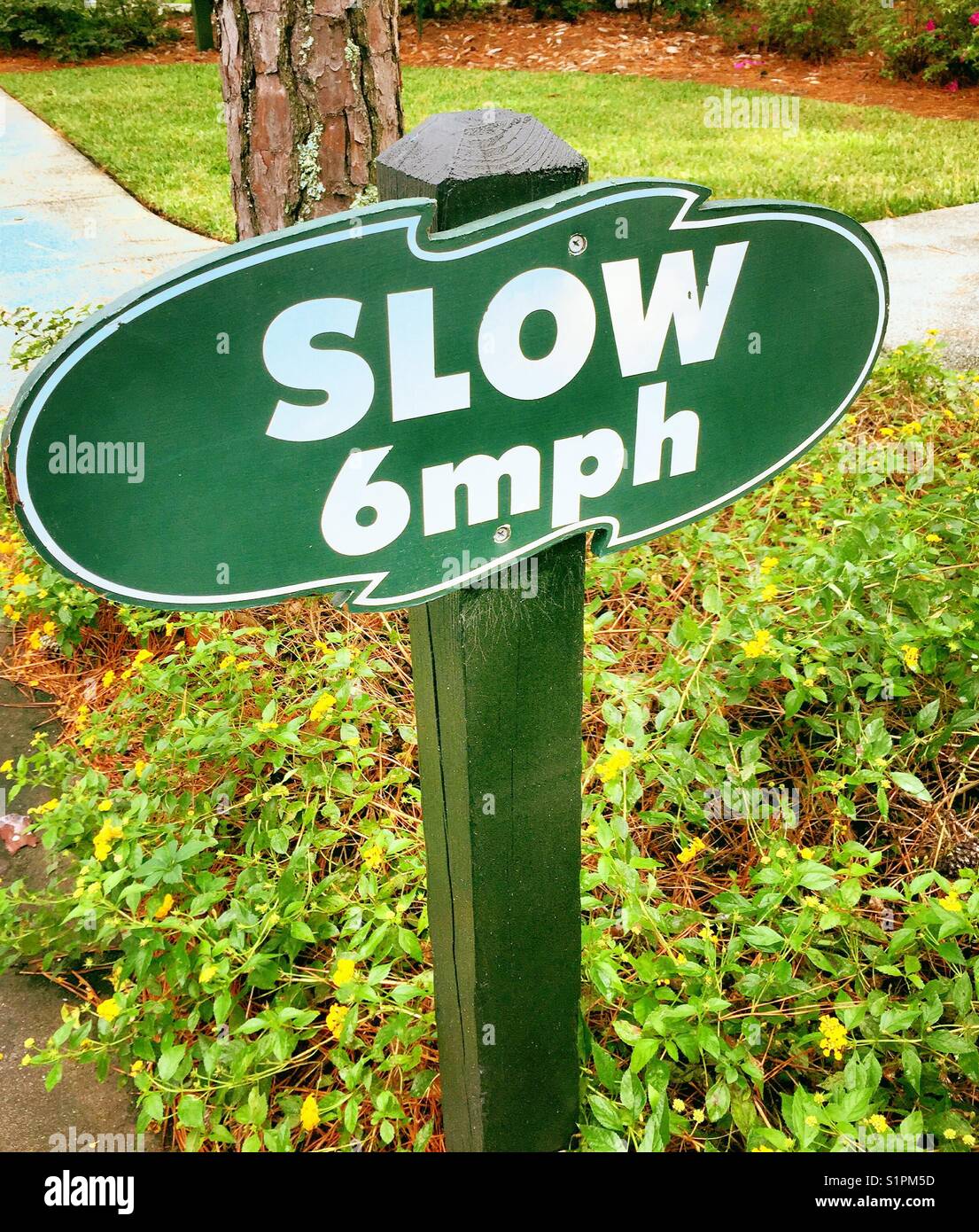 Lent 6 mph street sign, United States - Image de stock capturée avec un smartphone