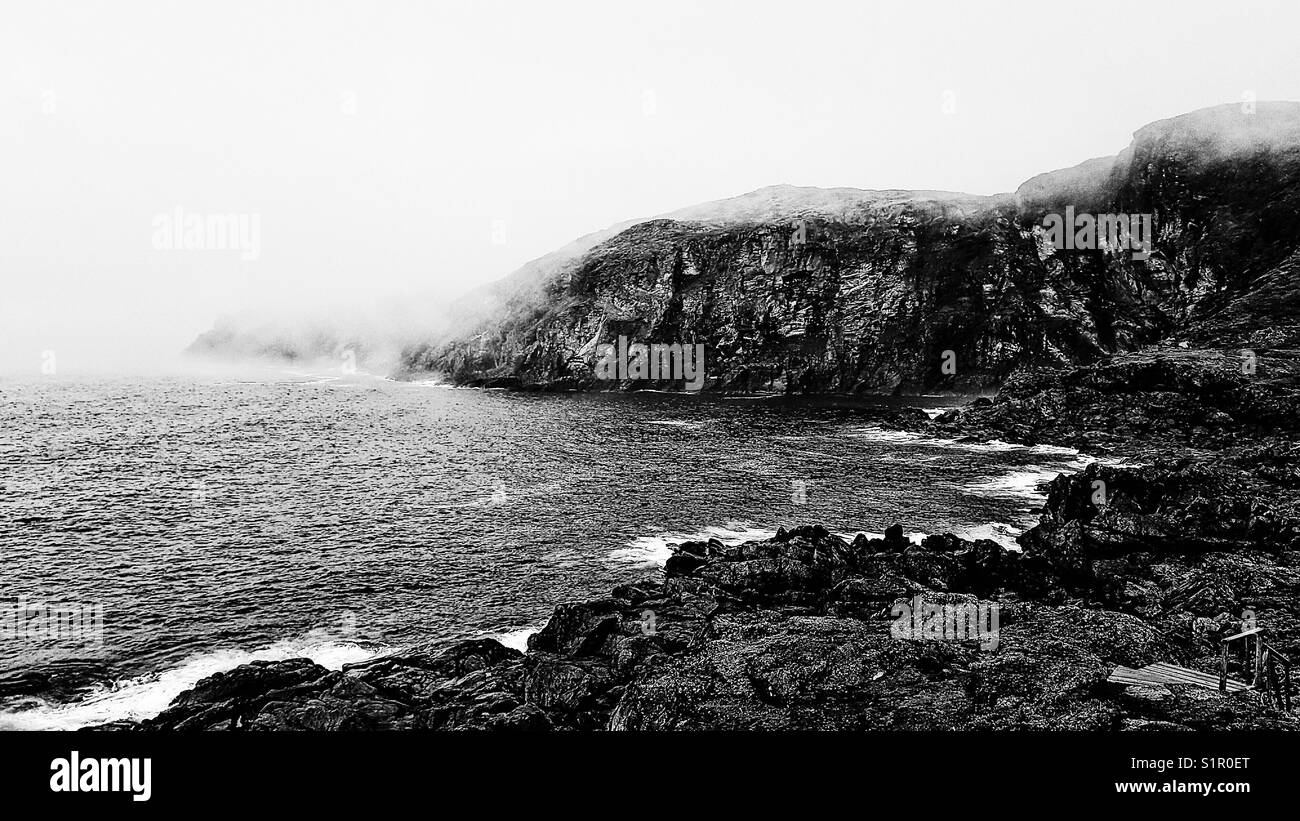 Côte rocheuse brumeuse, péninsule Great Northern, Terre-Neuve, Canada Banque D'Images