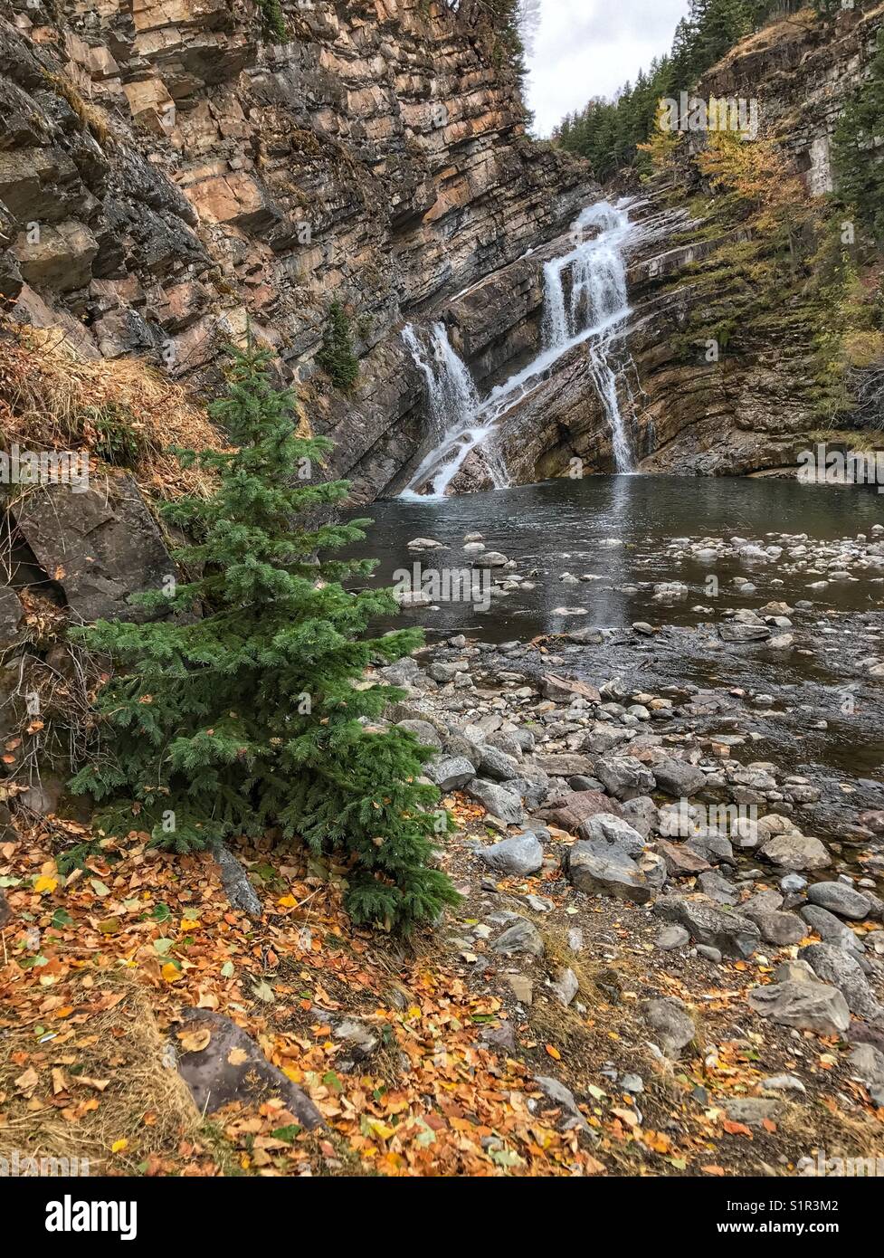 Cameron Falls sur une journée d'automne, avec les feuilles d'or sur le terrain. Waterton Lakes National Park, Alberta, Canada. Banque D'Images