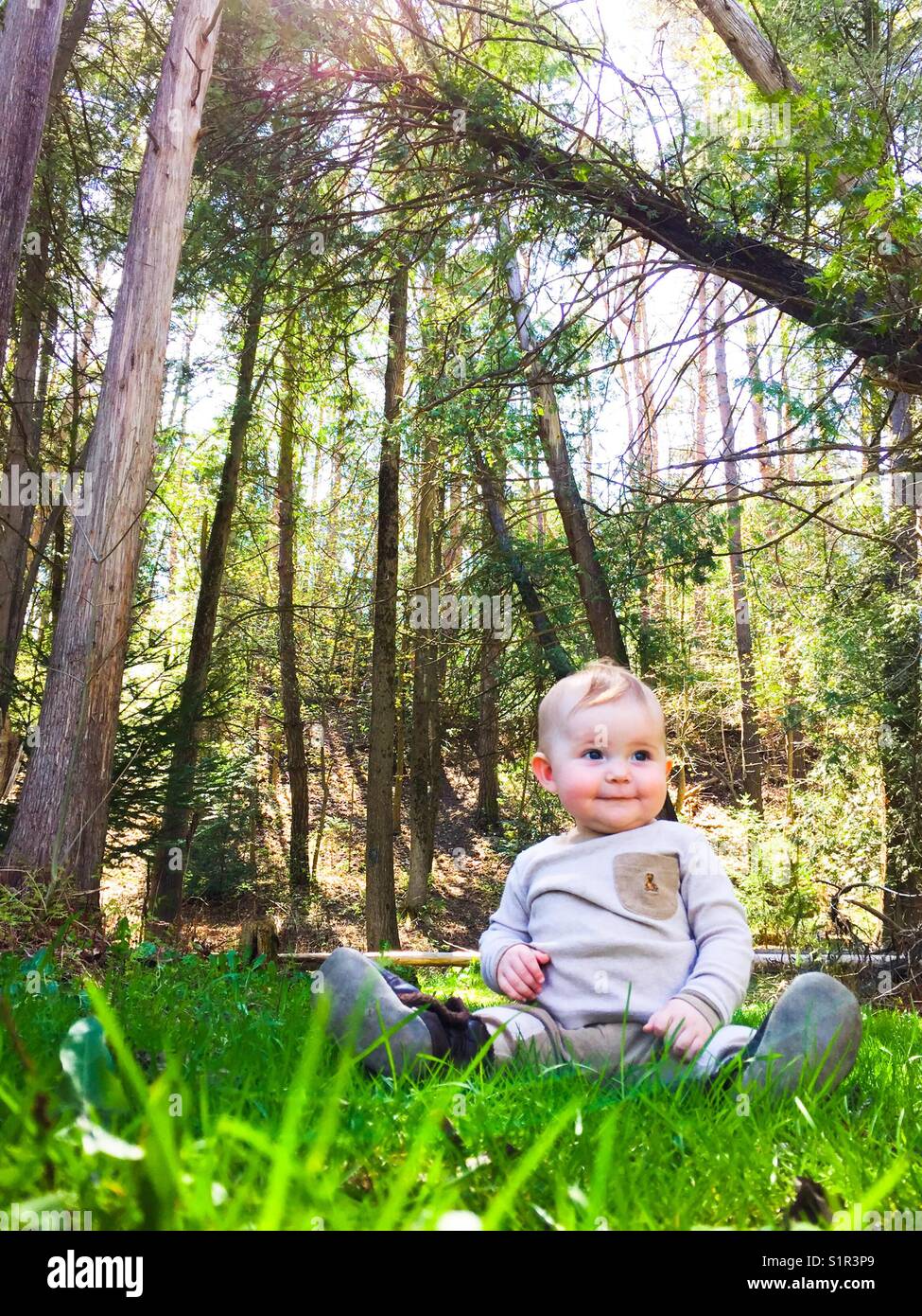 Bébé assis dans la forêt - Image de stock capturée avec un smartphone