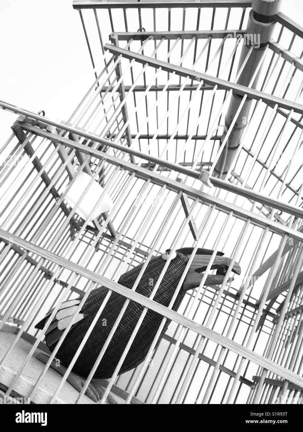 Une Image En Noir Et Blanc Dun Faux Oiseau Toucan En Cage à