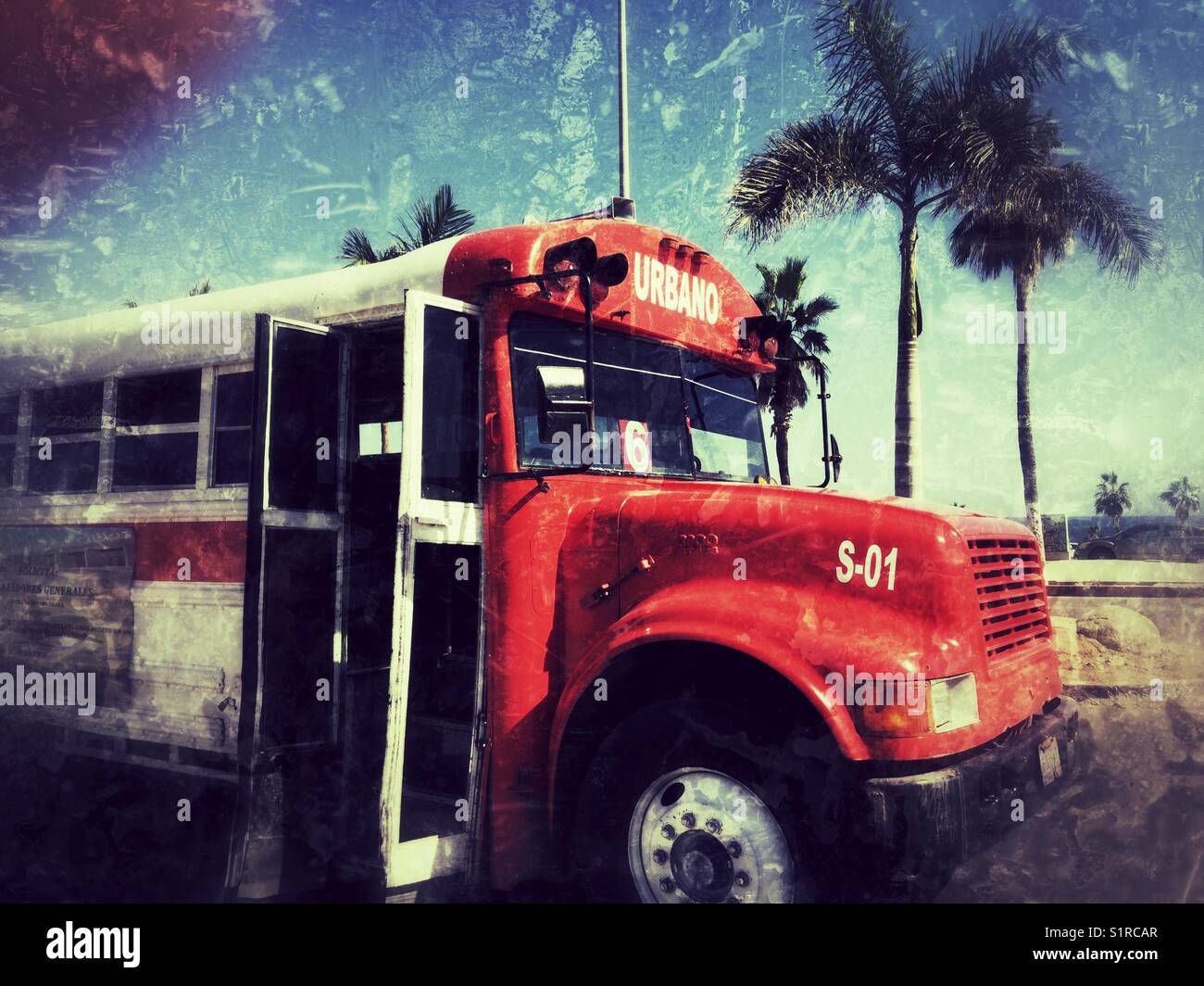 Bus public rouge et blanc à San José del Cabo. Banque D'Images
