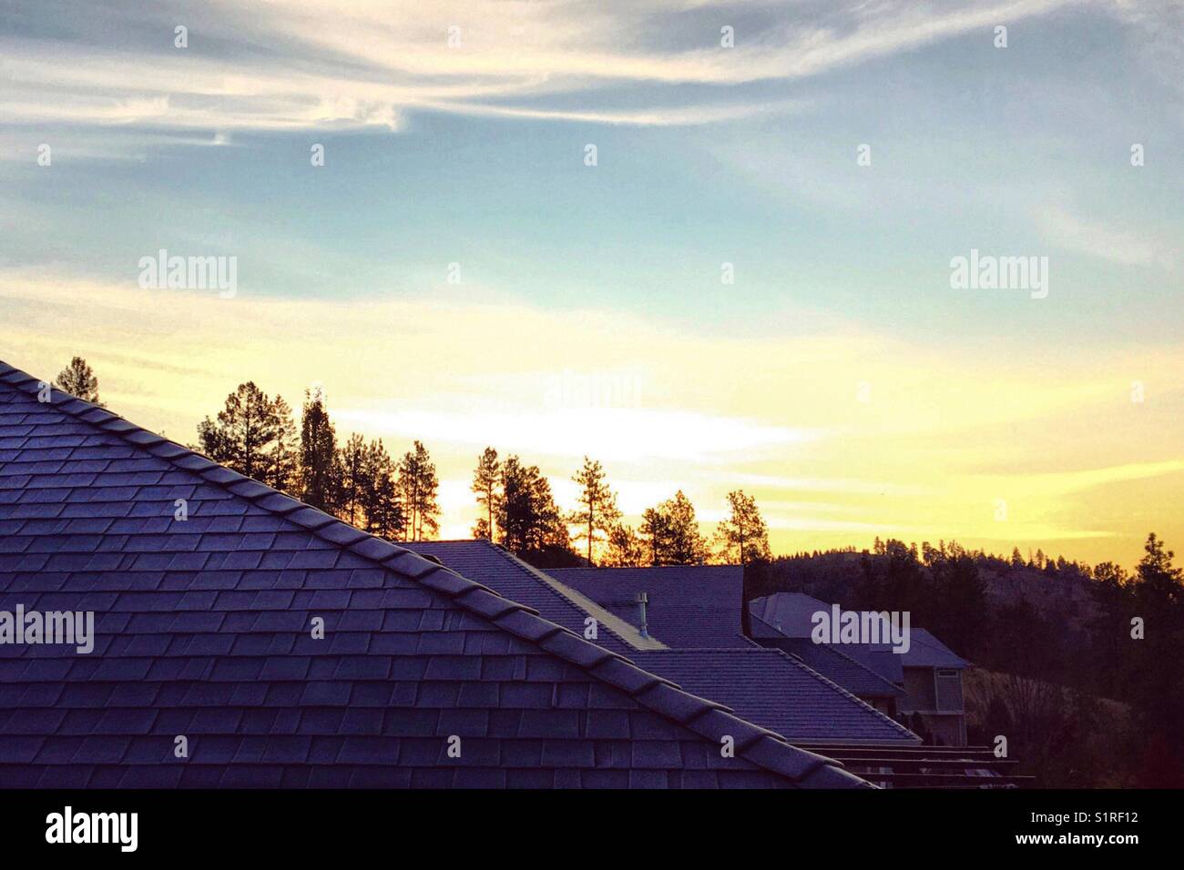 Lever du soleil sur un matin froid. Les toits en verre dépoli et la silhouette des arbres en arrière-plan éclairé par le soleil d'or à la hausse. Banque D'Images