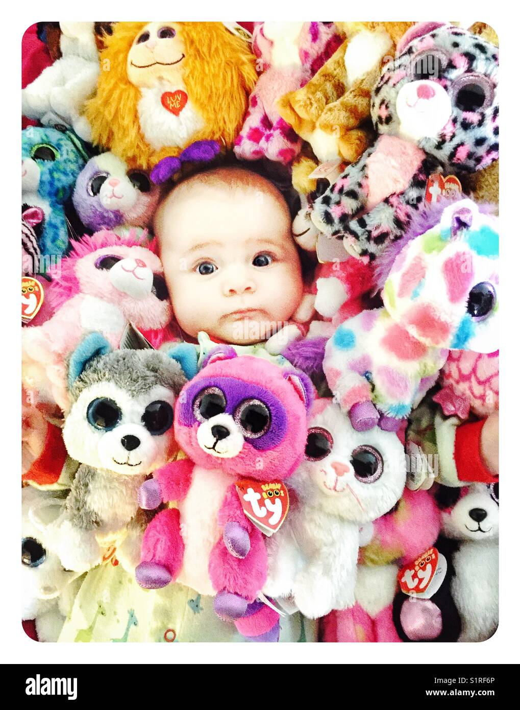 Ty Beanie Baby Boo enterrés dans les jouets Banque D'Images