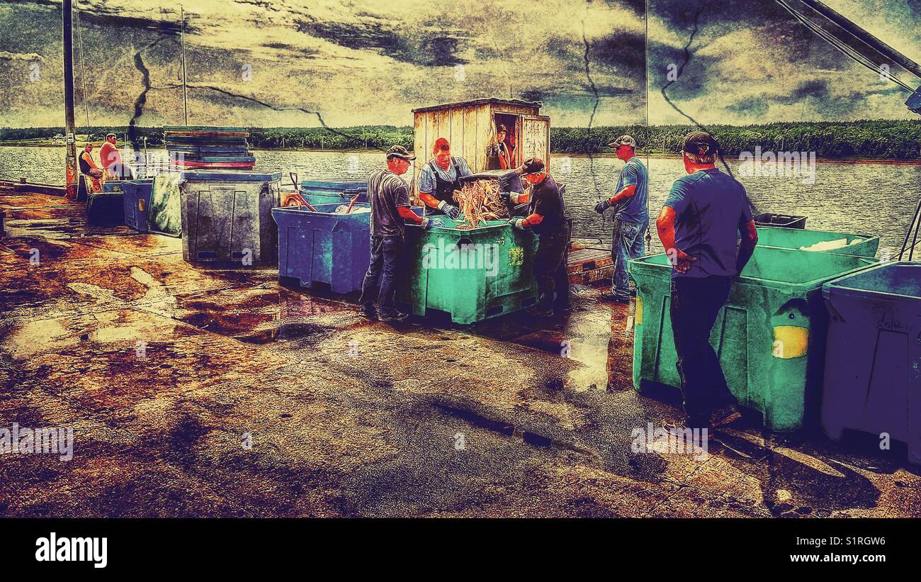 Les pêcheurs de homard avec prise sur le quai, l'île du Cap-Breton, Nouvelle-Écosse, Canada. Effet spécial avec le crack. - Image de stock capturée avec un smartphone