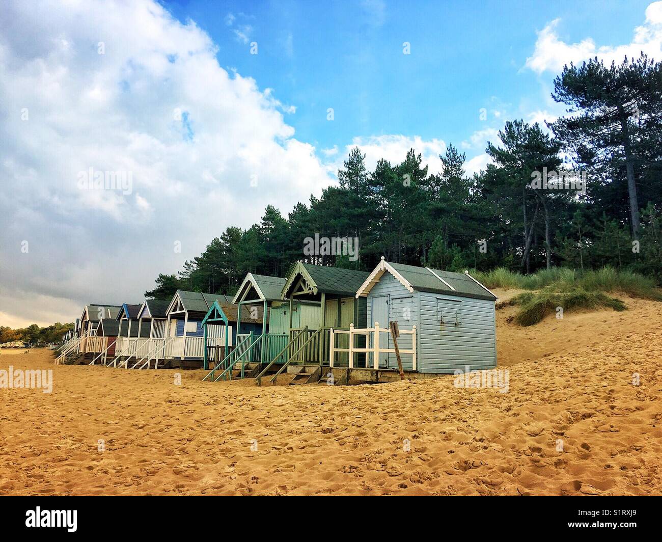 Une ligne de cabines de plage sur une plage de sable donnant sur les pins - Image de stock capturée avec un smartphone