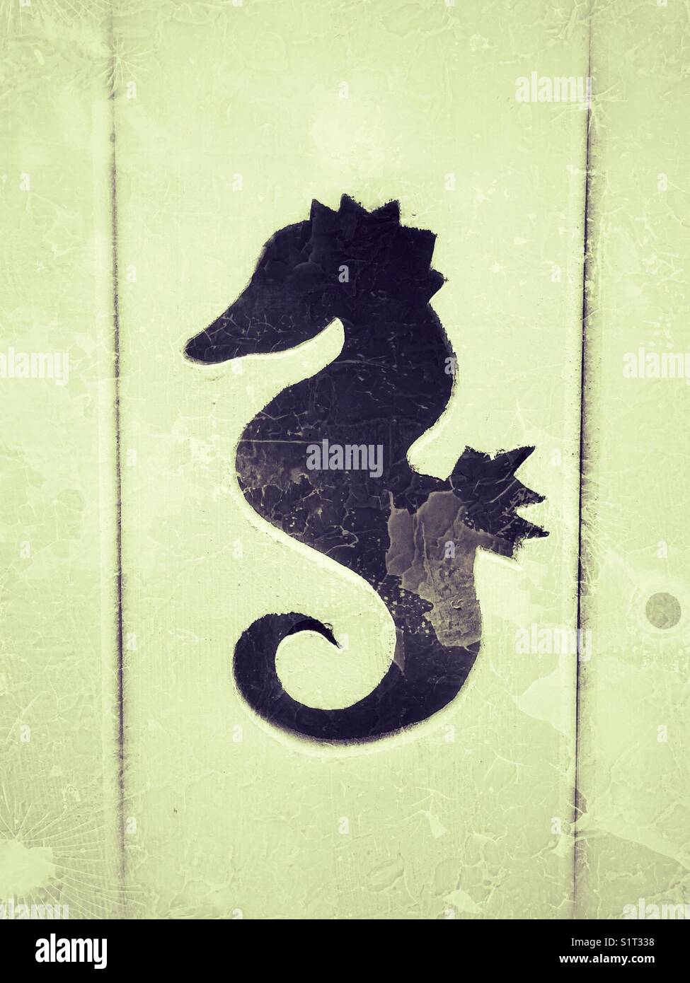 Seahorse découpe dans une porte en bois - Image de stock capturée avec un smartphone