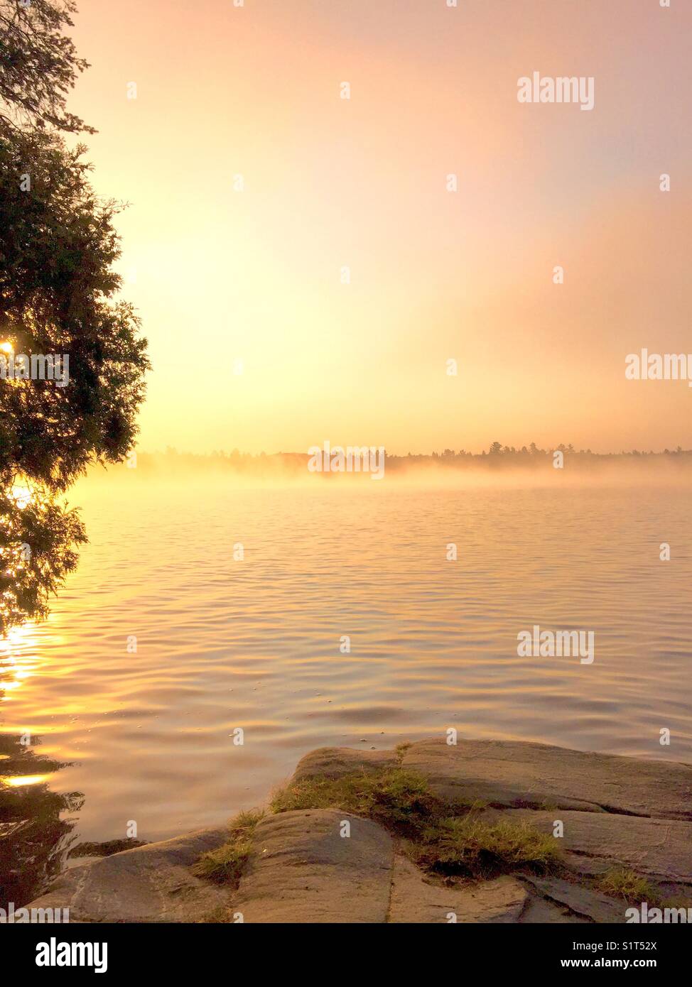 Affleurement rocheux lever du soleil au lac portrait Banque D'Images
