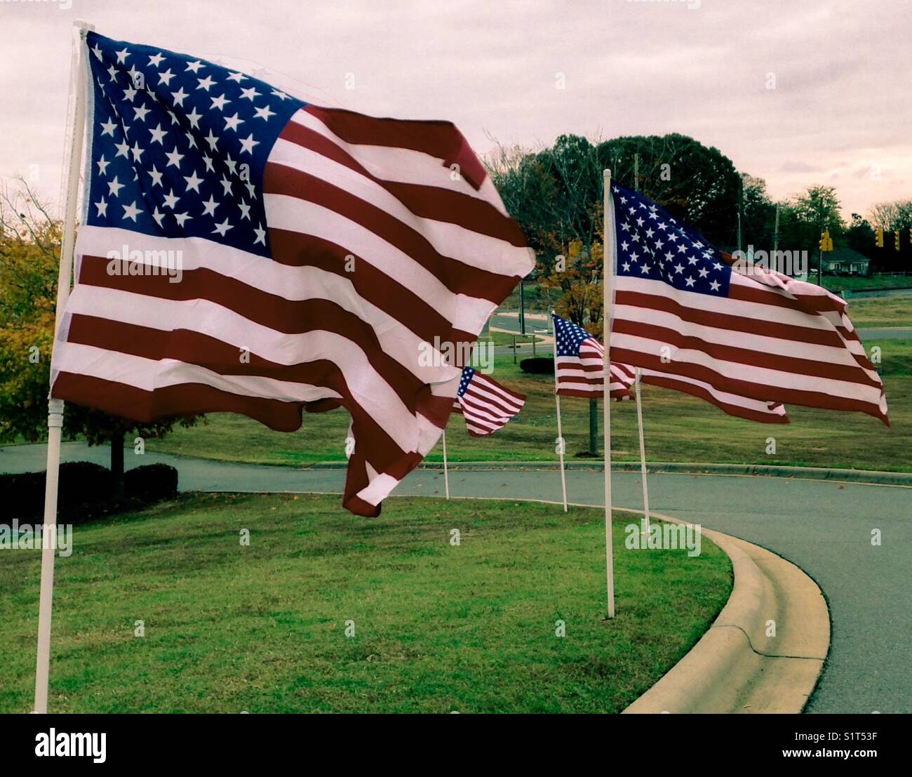 Voie bordée de drapeaux américains - Image de stock capturée avec un smartphone