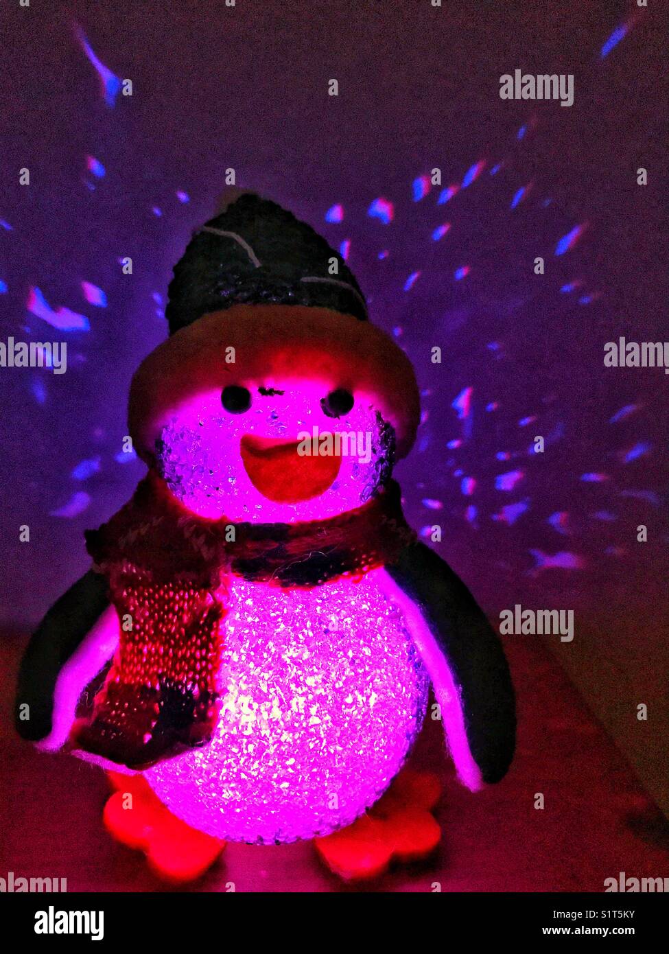 Décoration de Noël. Light-up penguin - Image de stock capturée avec un smartphone