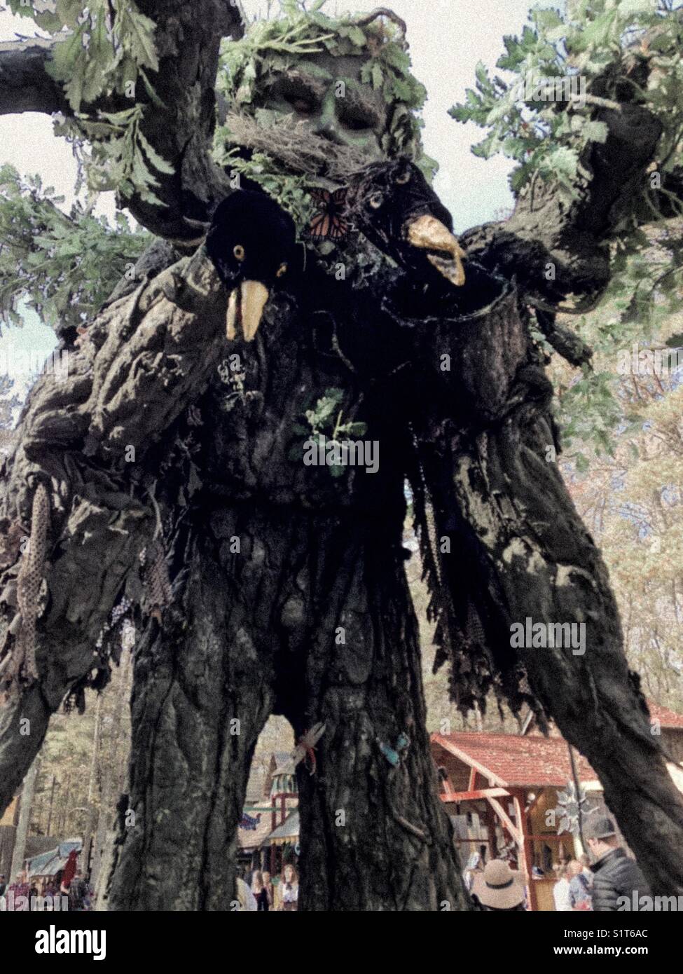 L'homme arbre avec les corneilles au festival Renaissance- Caroline du Nord 2017 Banque D'Images L'homme arbre avec les corneilles au festival Renaissance- Caroline du Nord 2017 Banque D'Images