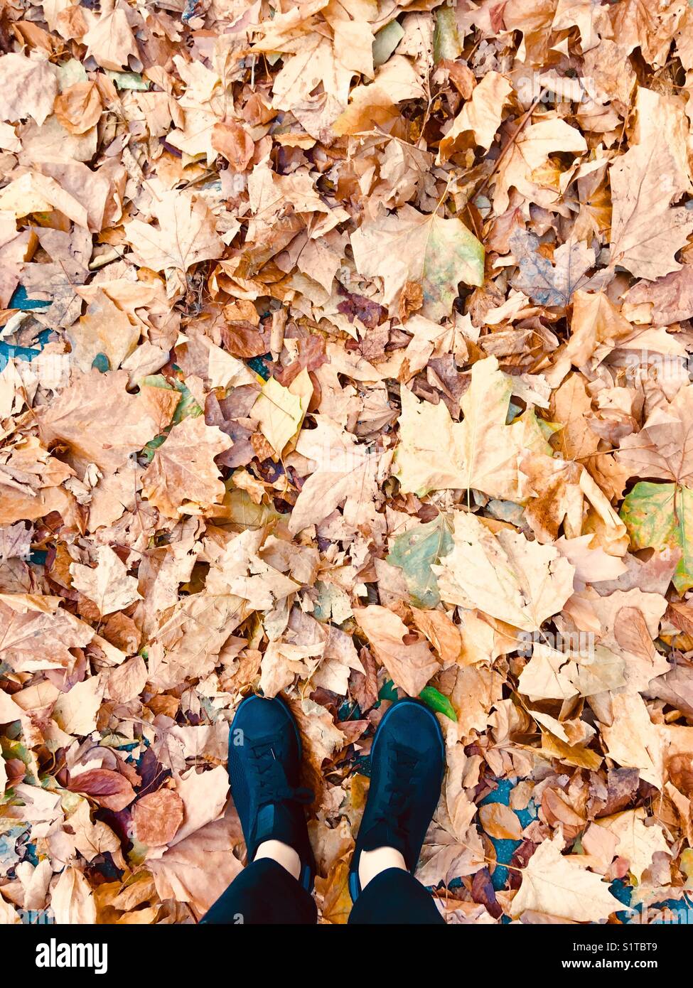 Girl standing in leaves Banque D'Images