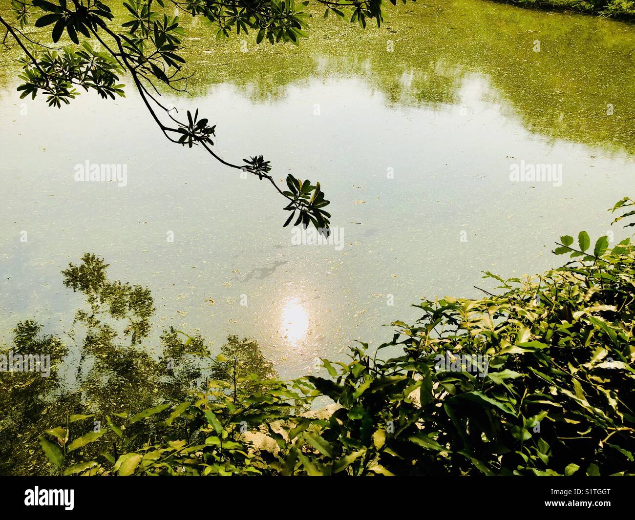 Ombre de soleil dans l'eau du lac Banque D'Images