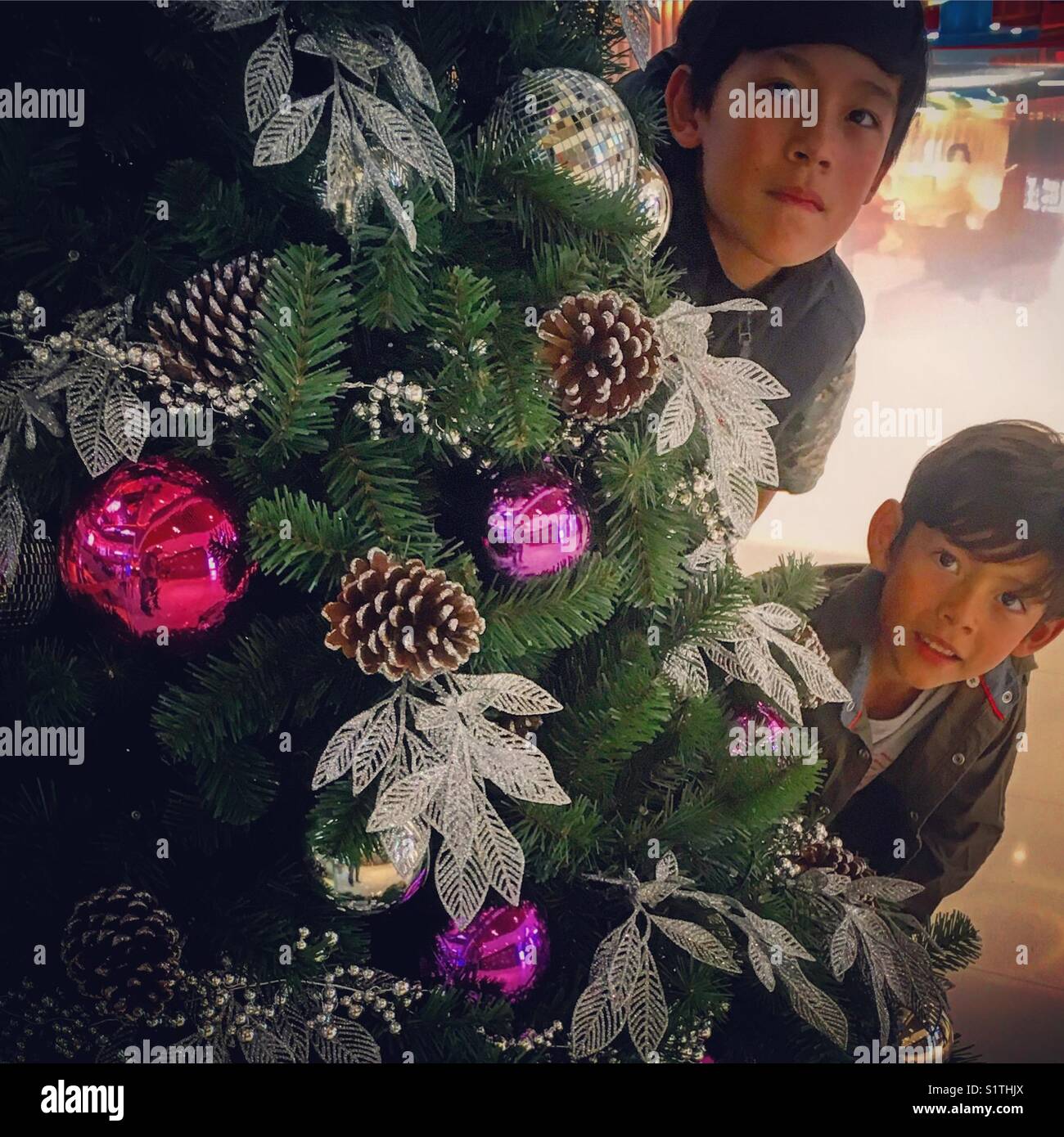 2 jeunes garçons près d'un arbre de Noël Banque D'Images