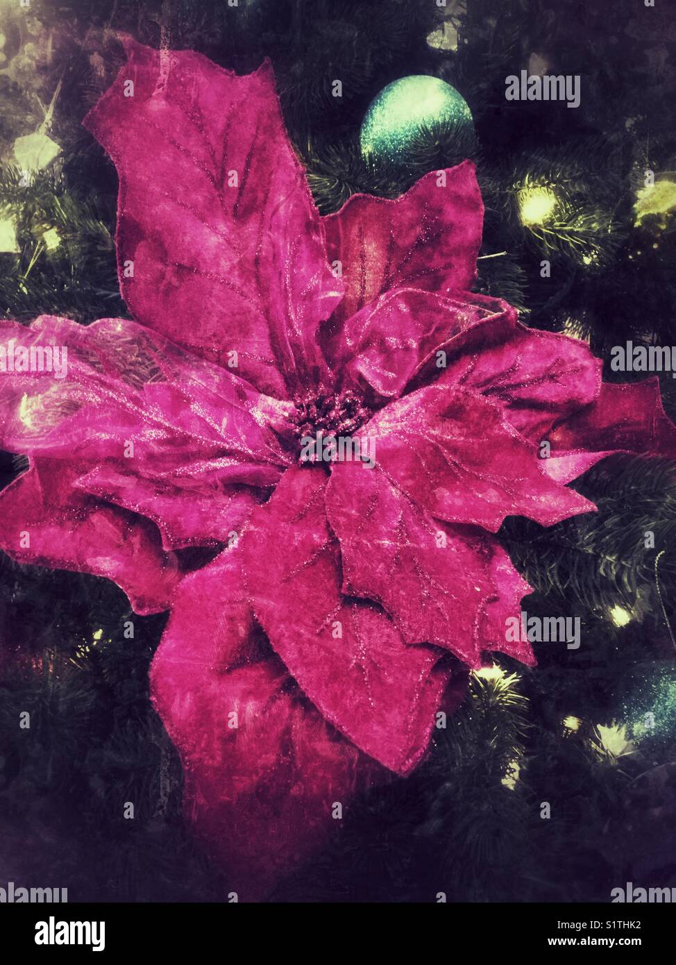 Grandes fleurs fuchsia décoration d'arbre de Noël. Banque D'Images