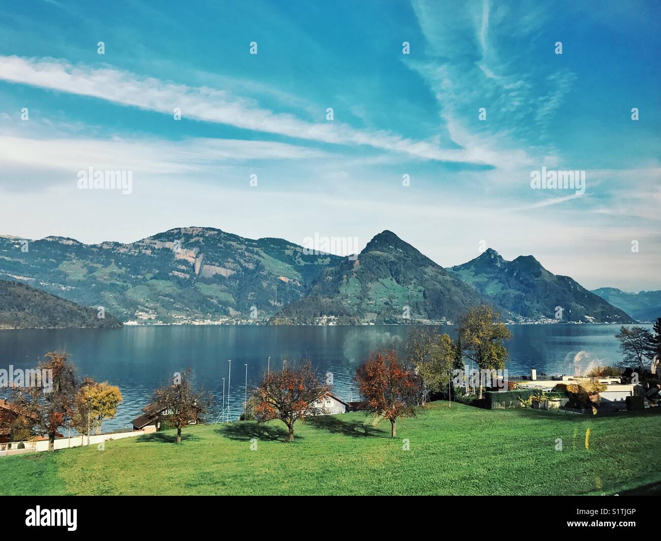 Champ, arbres, lac, montagne et ciel paysage en Suisse Banque D'Images