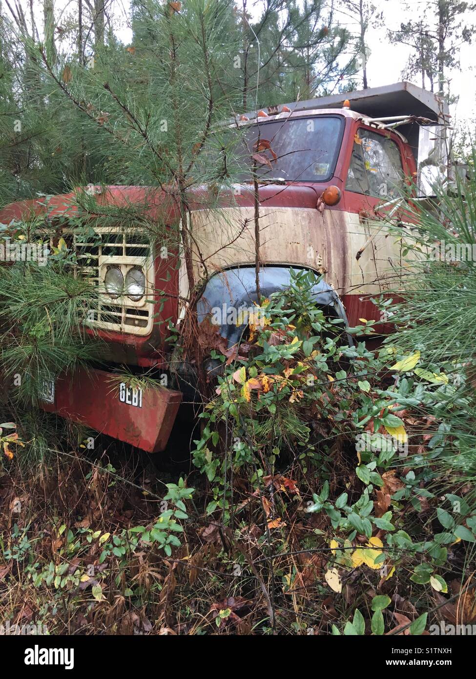 camion abandonné Banque D'Images