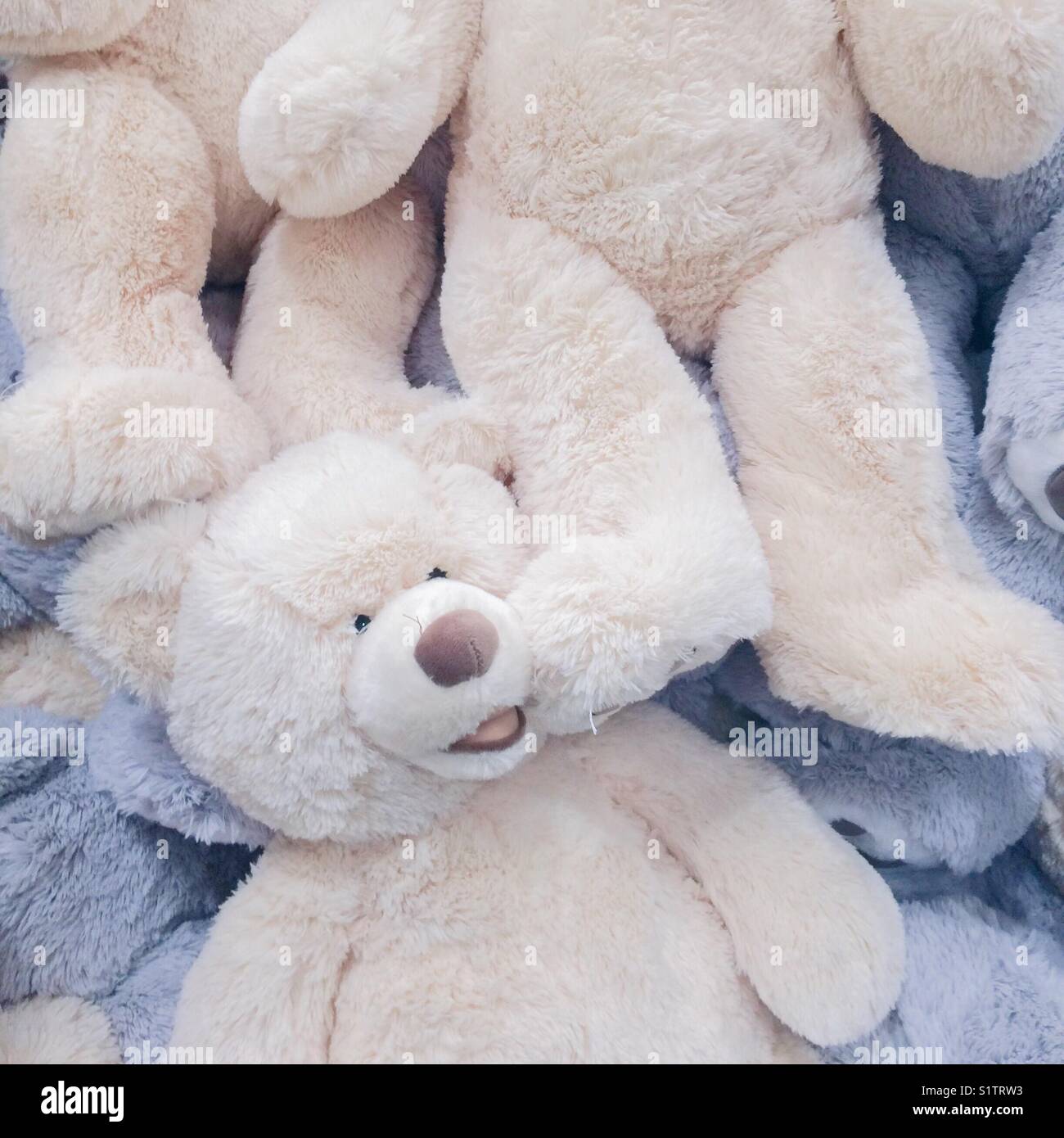 Un coup de pied dans le ted ! Banque D'Images