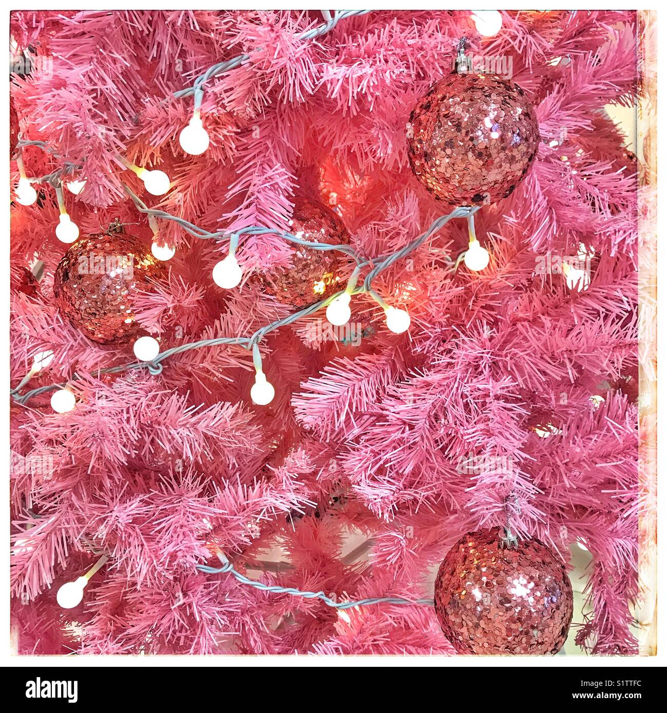Arbre de Noël rose. - Image de stock capturée avec un smartphone