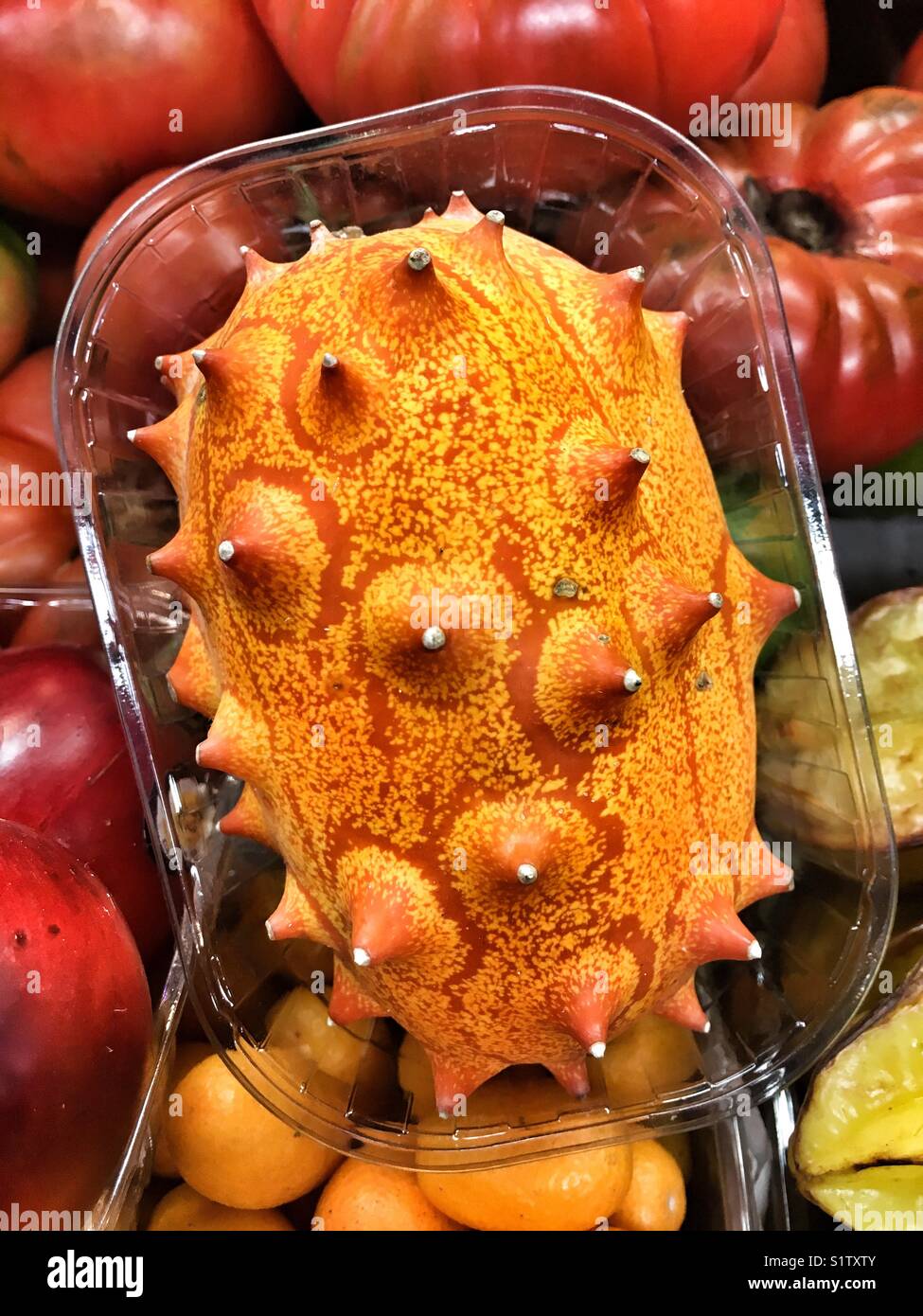 Kiwano, melon à cornes ou cornes d'Afrique du concombre (Cucumis metuliferus) Banque D'Images