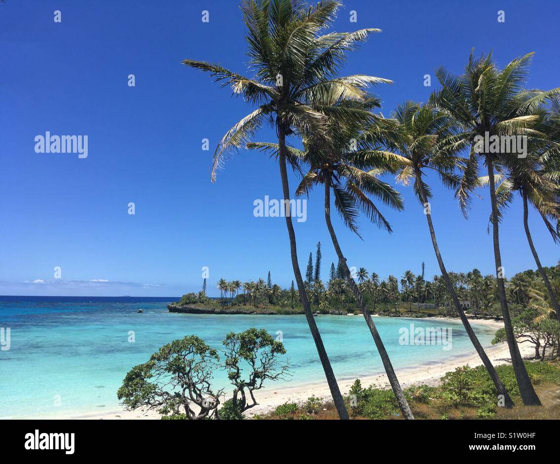Plage De Sable De Corail Blanc Sur Lifou Nouvelle Calédonie