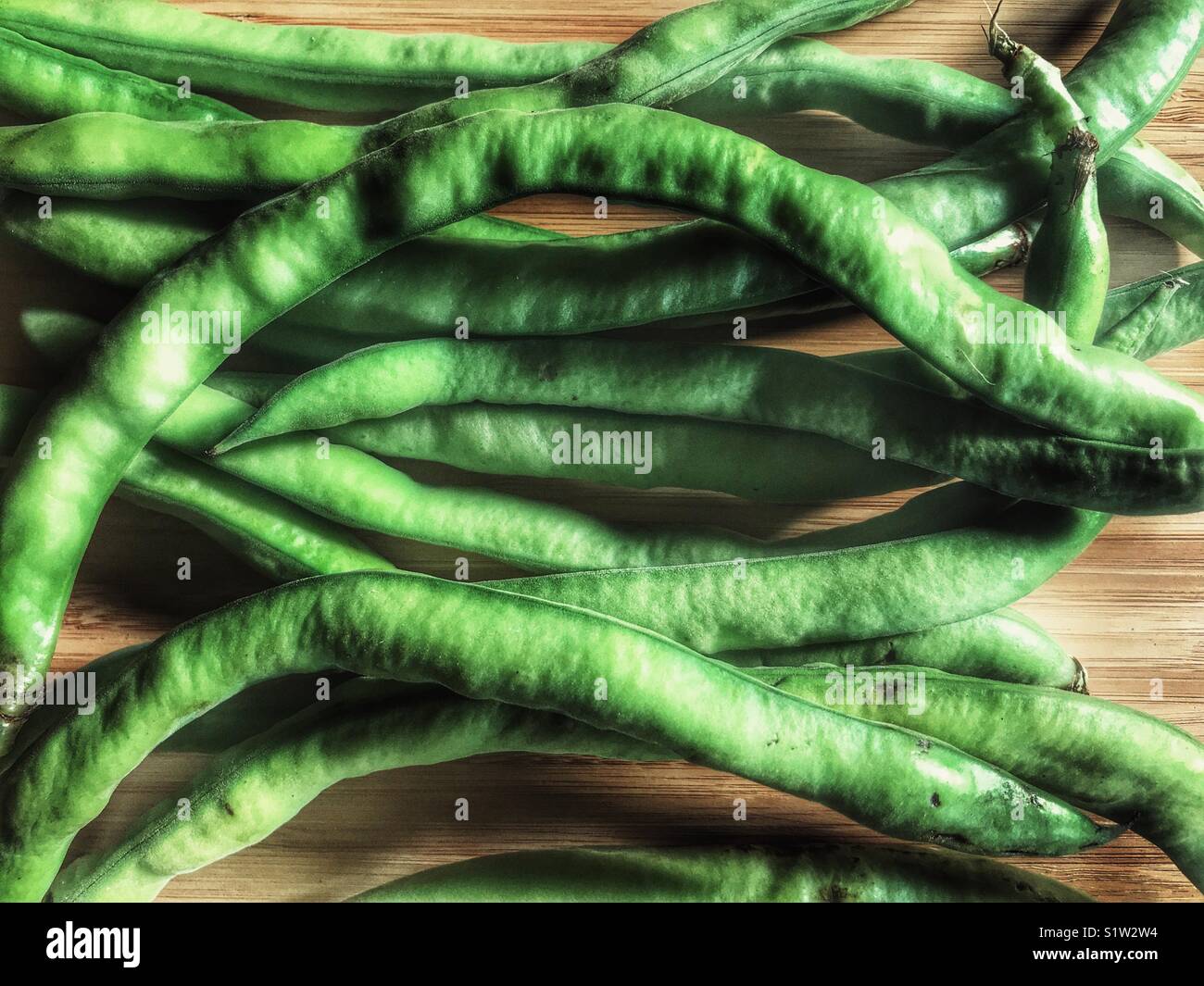 Fèves vertes fraîches, Vicia faba, également connu sous le nom de fèves, féveroles, haricot, haricot bean ou tic bell - Image de stock capturée avec un smartphone
