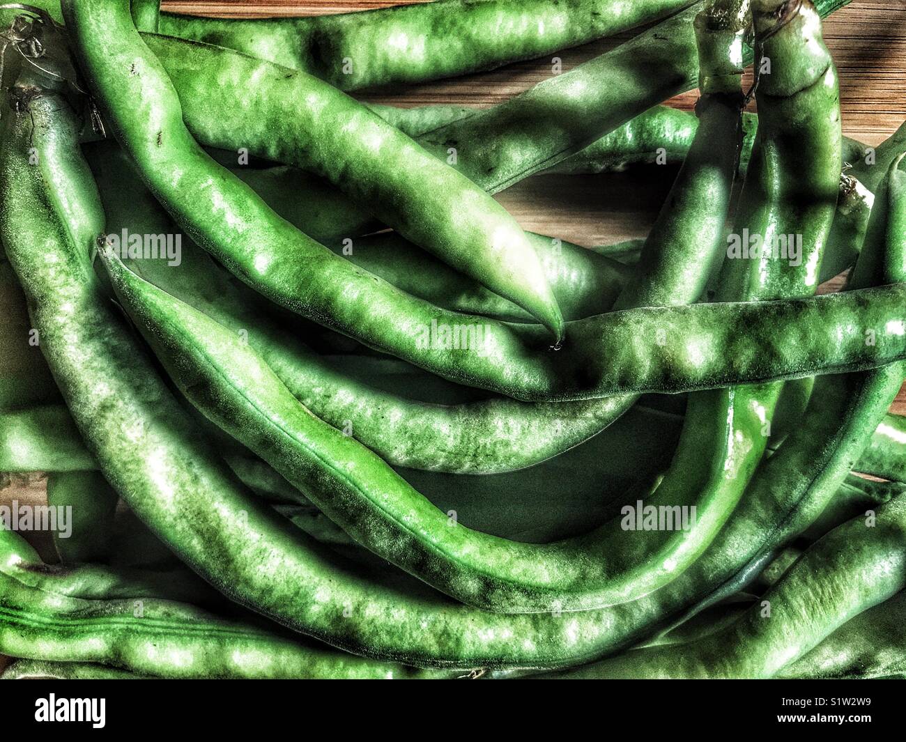 Fèves vertes fraîches, Vicia faba, également connu sous le nom de fèves, féveroles, haricot, haricot bean ou tic bell - Image de stock capturée avec un smartphone