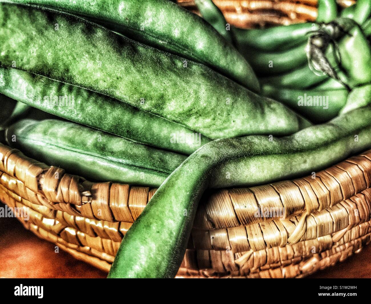 Fèves vertes fraîches, Vicia faba, également connu sous le nom de fèves, féveroles, haricot, haricot bean ou tic bell - Image de stock capturée avec un smartphone