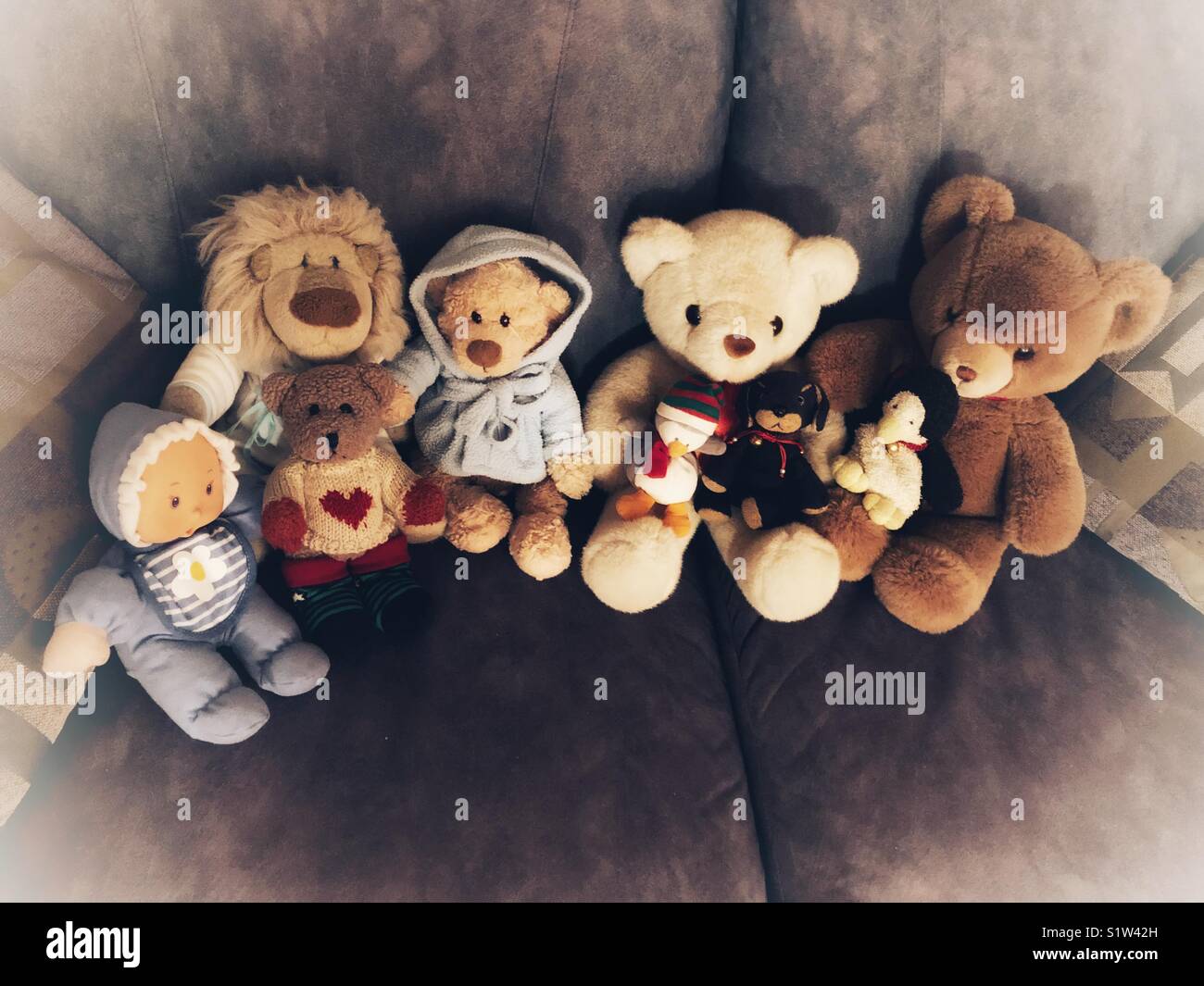 Animaux en peluche assis sur un canapé. - Image de stock capturée avec un smartphone