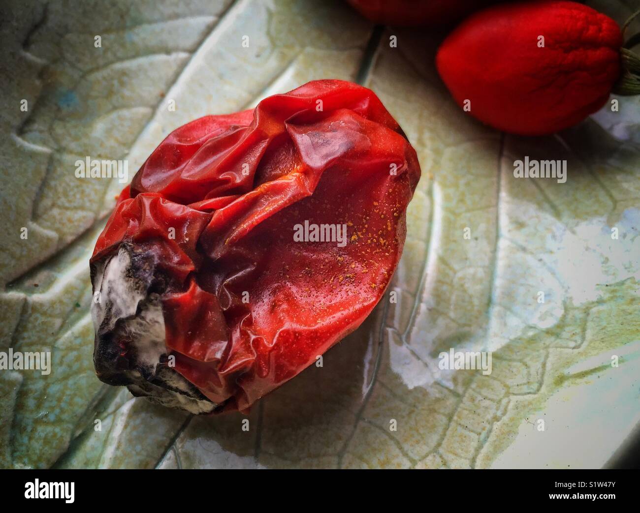 Tomate pourrie sur une plaque en céramique fait main Banque D'Images