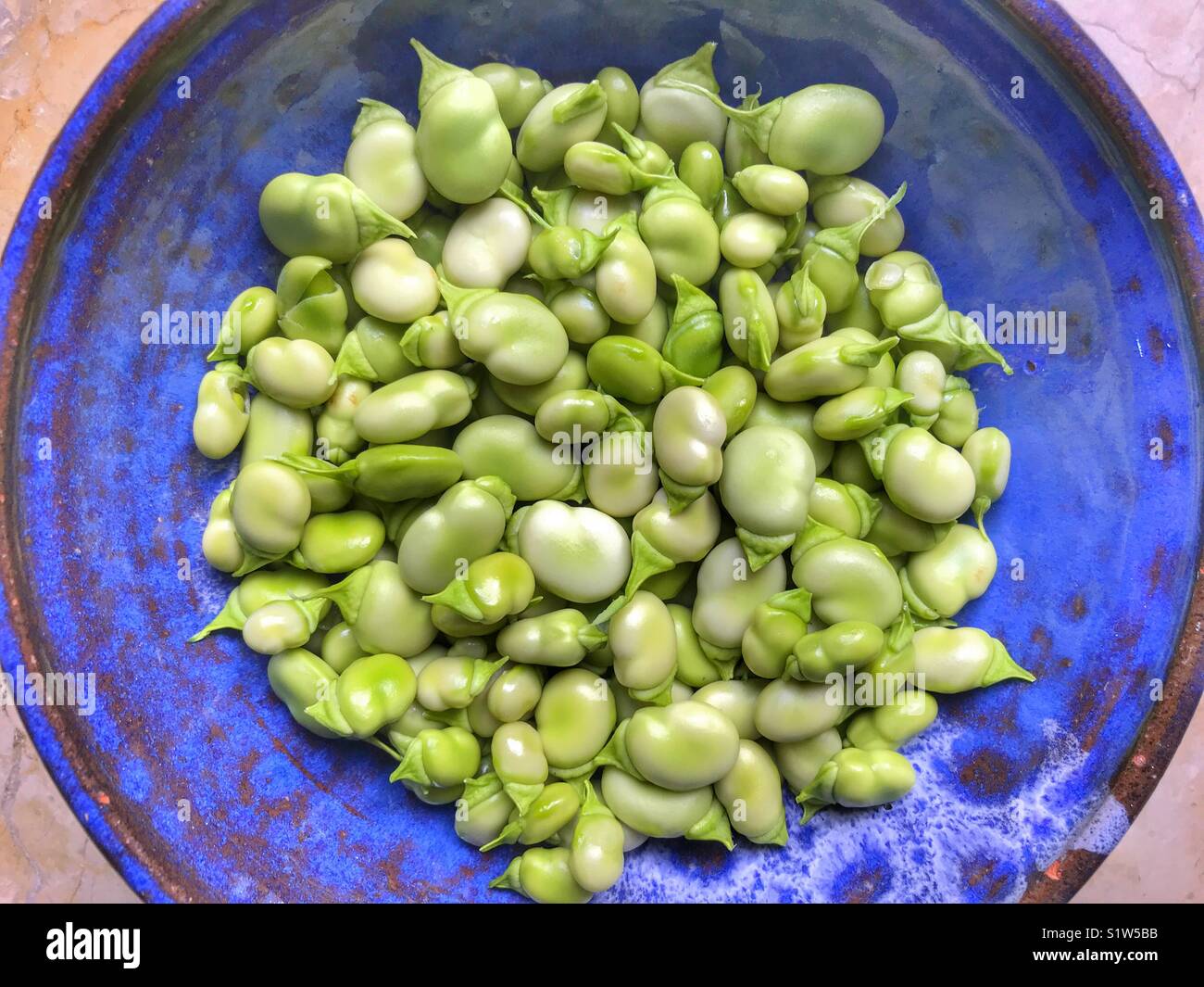 Bol en céramique bleu avec frais, Azimut, fèves vertes, également connu sous le nom de fèves, féveroles, Bell, tic bean bean. - Image de stock capturée avec un smartphone