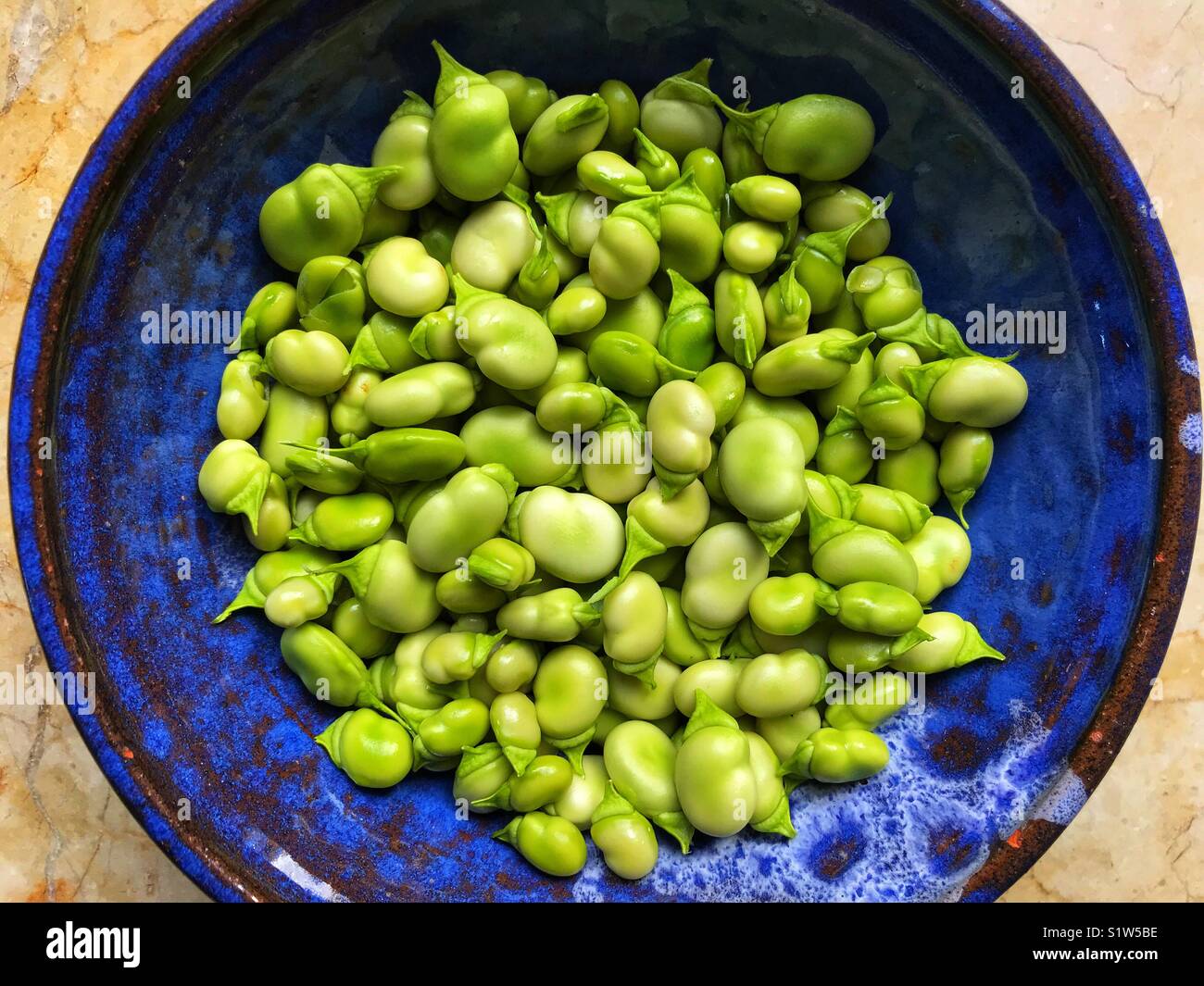 Bol en céramique bleu avec frais, Azimut, fèves vertes, également connu sous le nom de fèves, féveroles, Bell, tic bean bean. - Image de stock capturée avec un smartphone