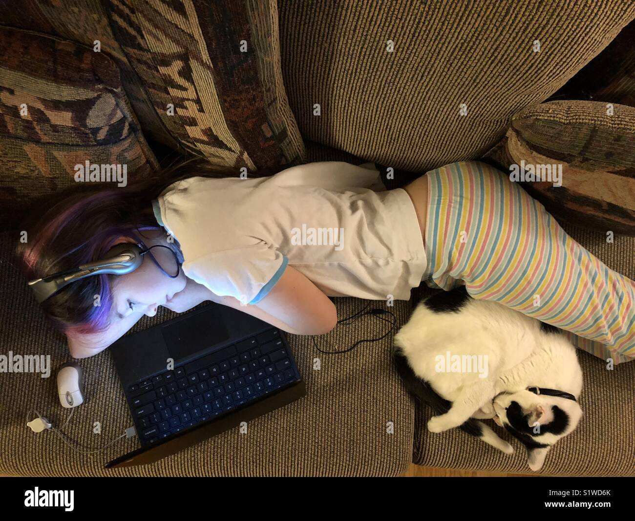 À partir de la vue ci-dessus de la fille sur le canapé avec un casque sur l'utilisation de l'ordinateur portable avec chat dormir à côté d'elle Banque D'Images