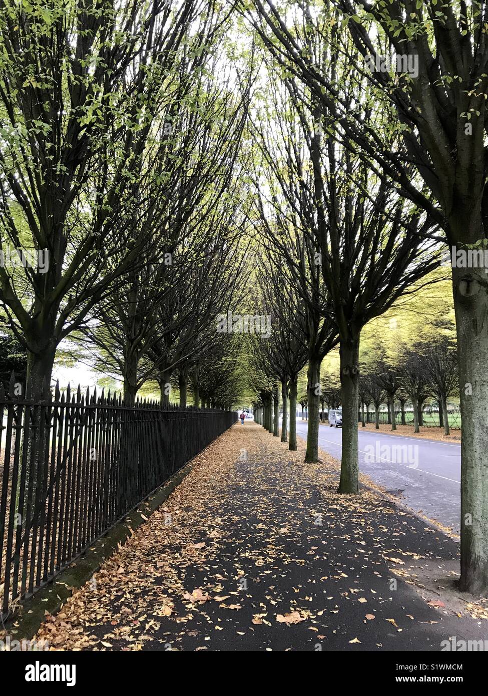 Herbert Park, Dublin, Irlande. Banque D'Images