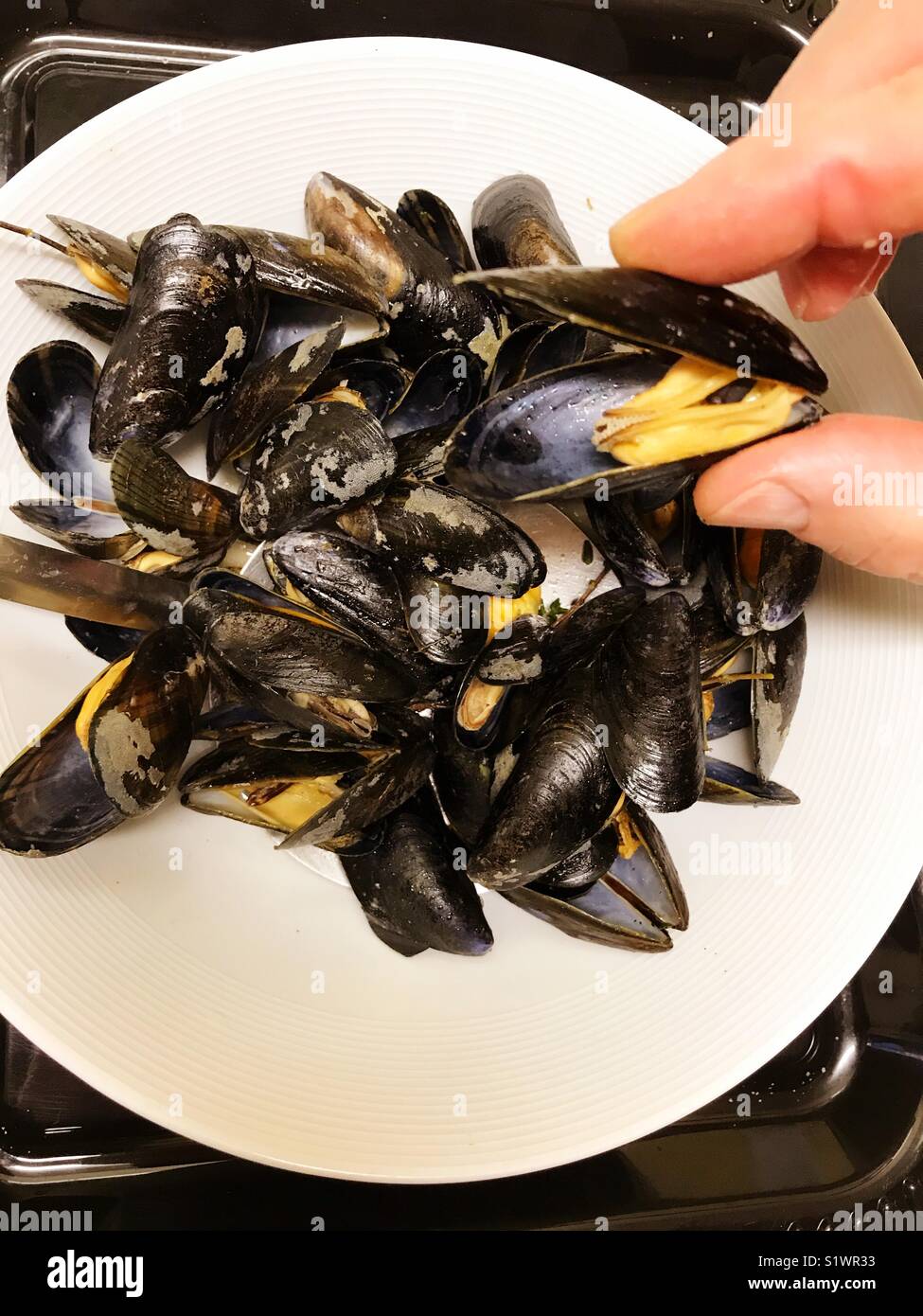 Moules cuites Banque D'Images