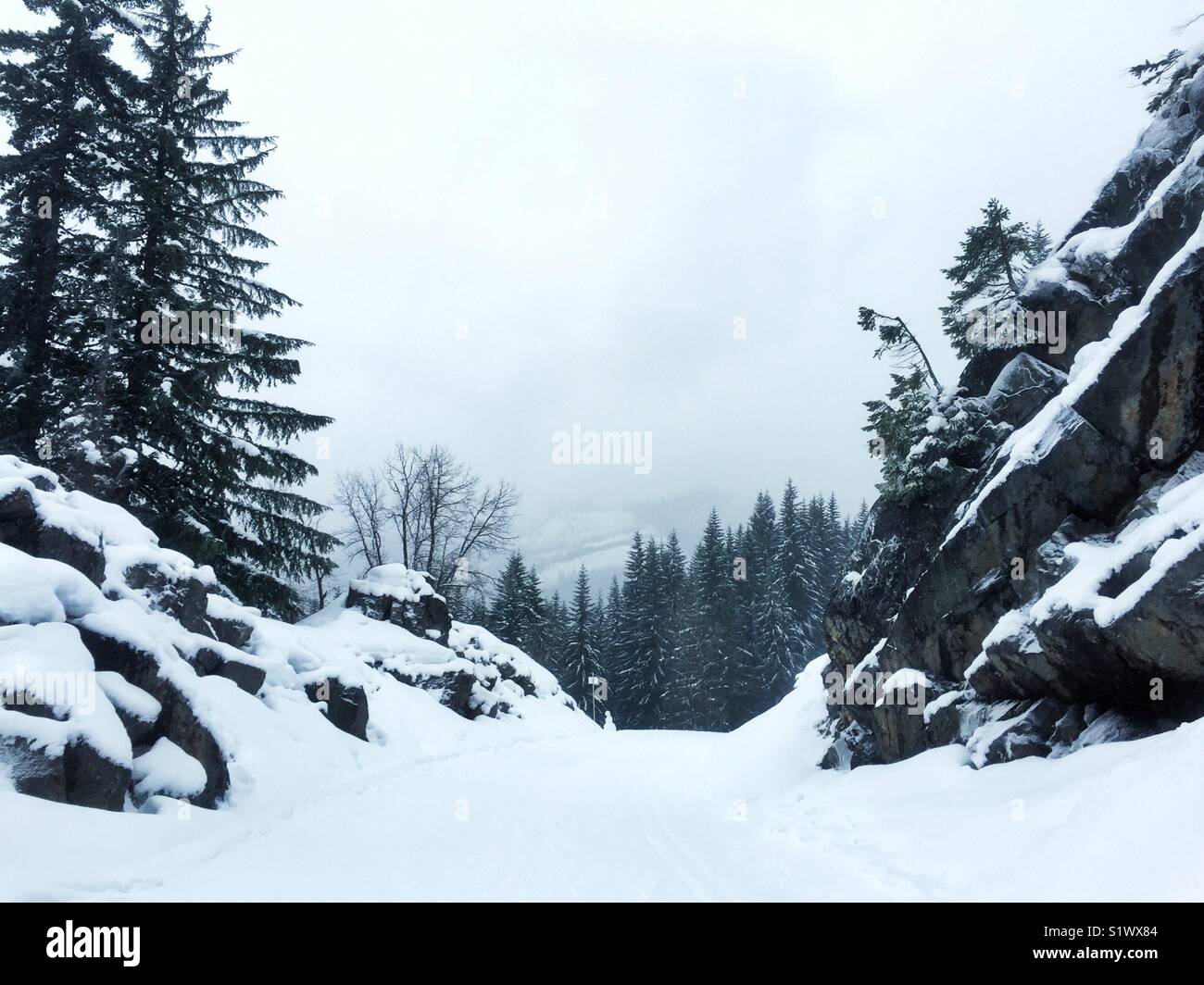 Zone exposée aux avalanches près de Snoqualmie Pass en hiver Banque D'Images