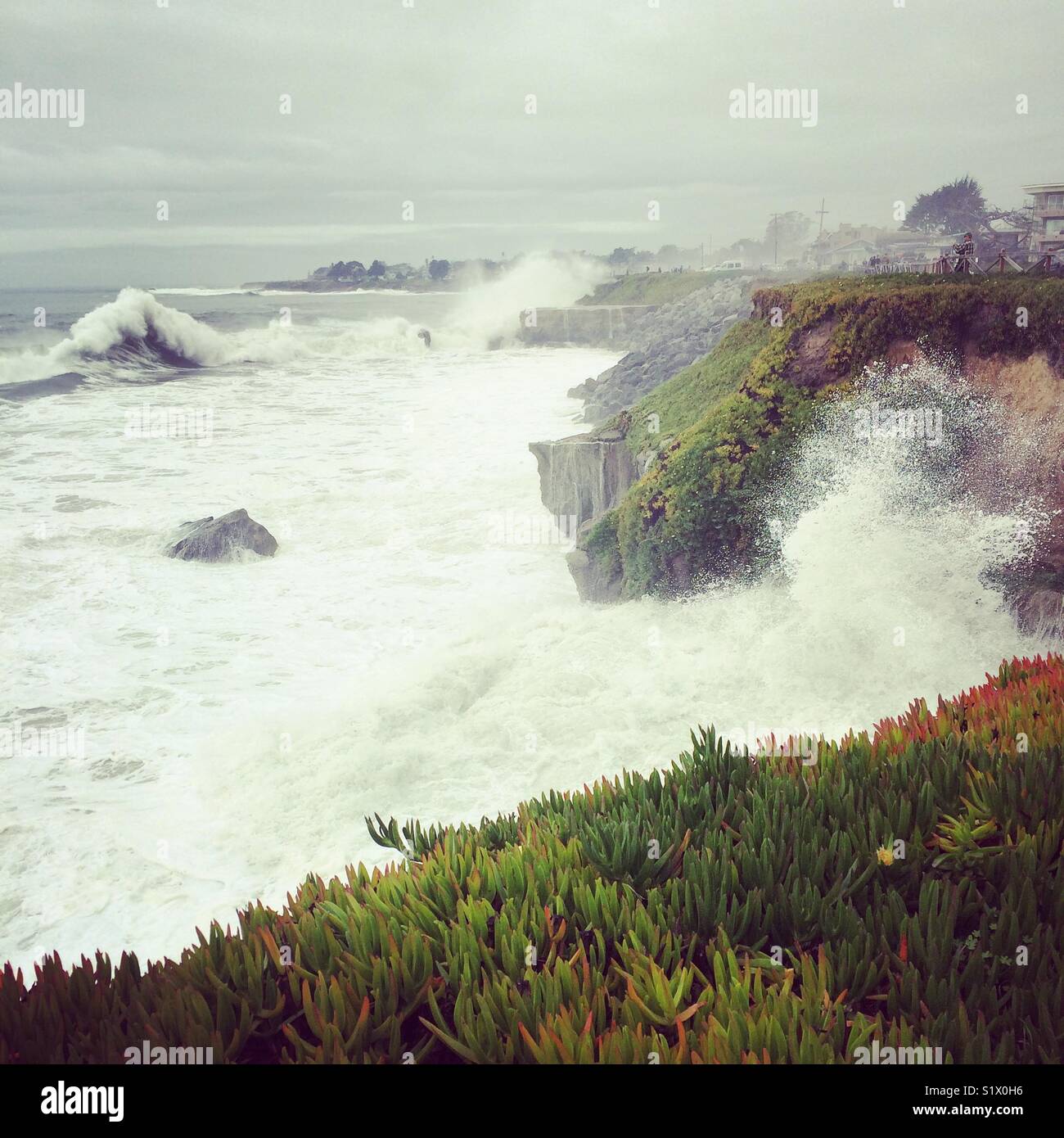 Vagues se briser contre les falaises à Santa Cruz, en Californie - Image de stock capturée avec un smartphone