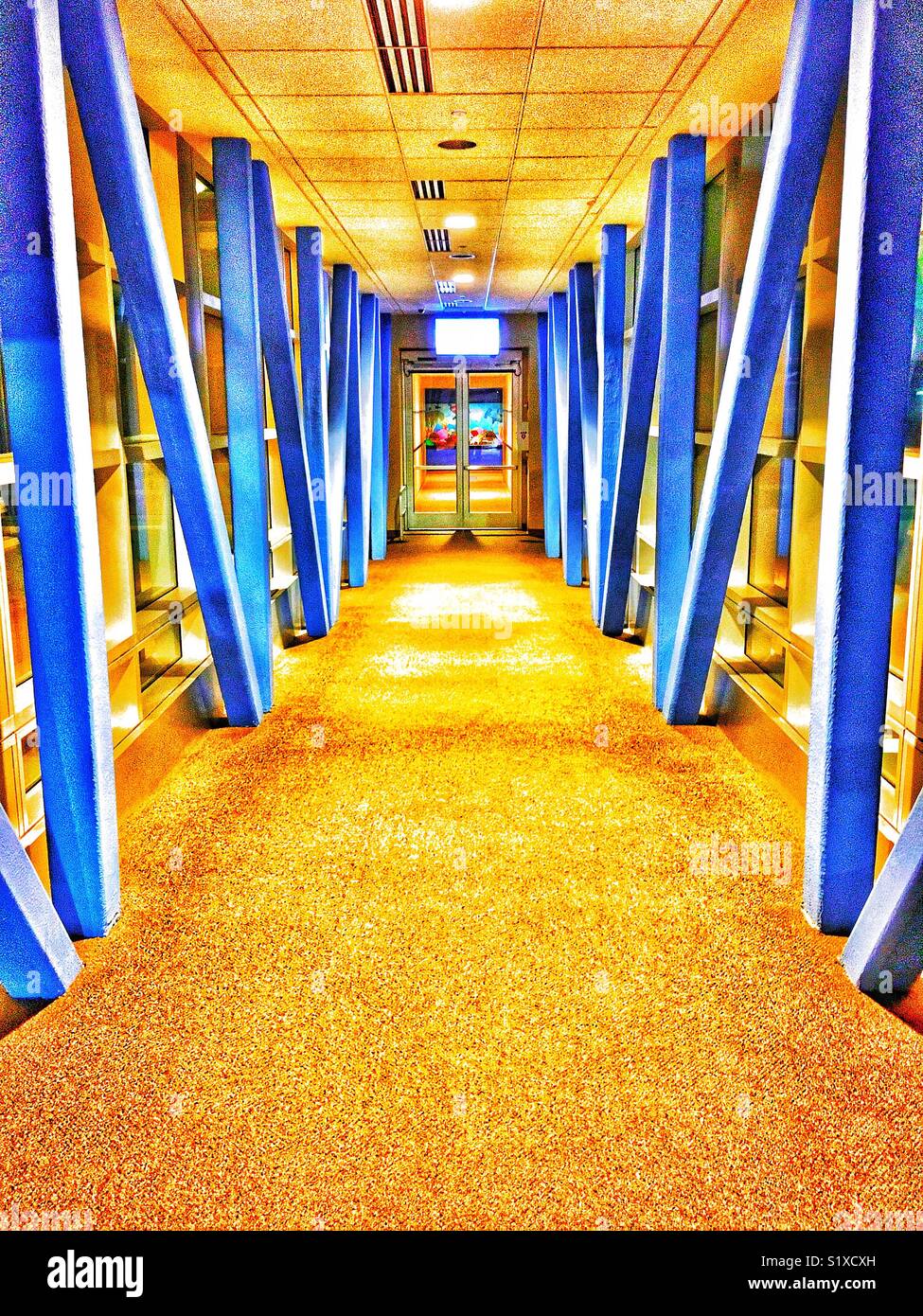 Skywalk coloré bleu avec poutres apparentes Banque D'Images