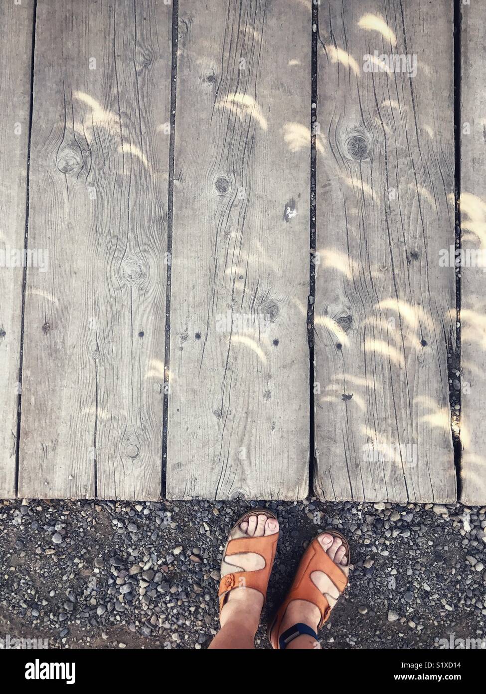 Croissants de lumière d'une éclipse de soleil brille sur un trottoir. - Image de stock capturée avec un smartphone