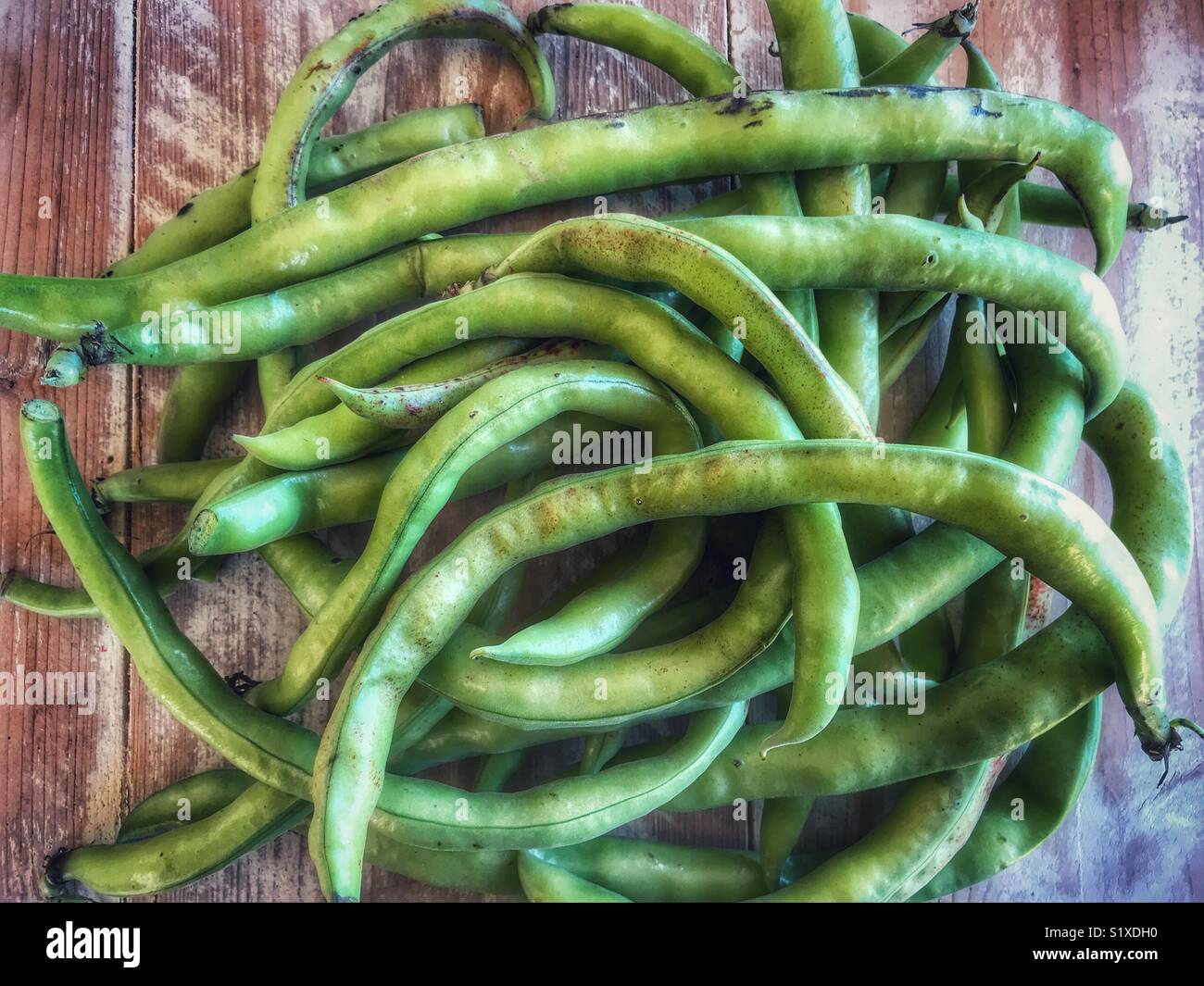 Bio, homegrown, fèves fraîchement cueillies sur une table en bois - Image de stock capturée avec un smartphone