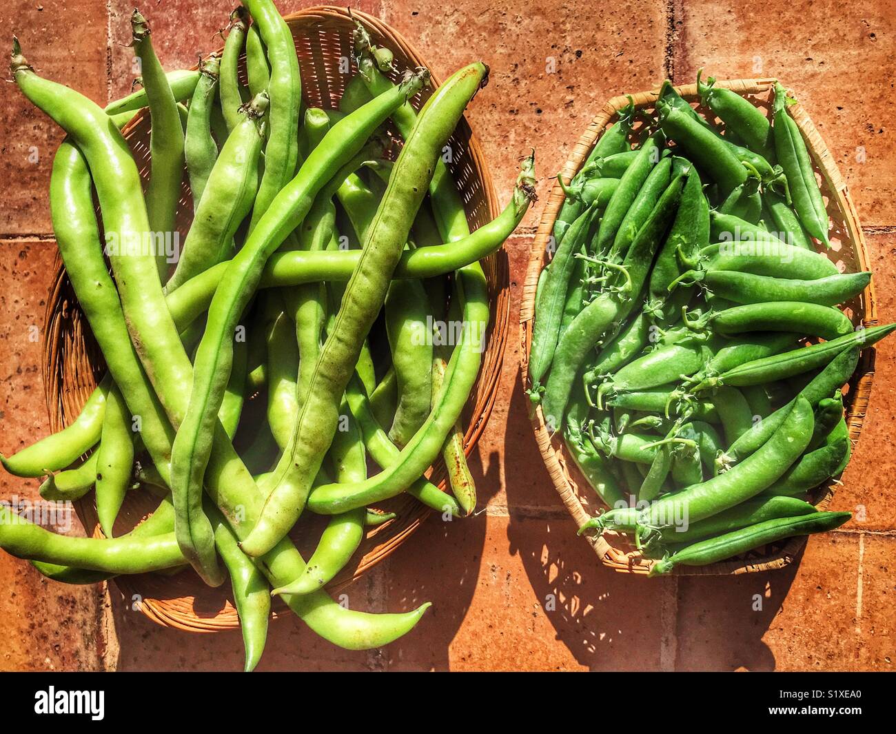 Fraîchement cueilli, organiques, les fèves et les petits pois. - Image de stock capturée avec un smartphone