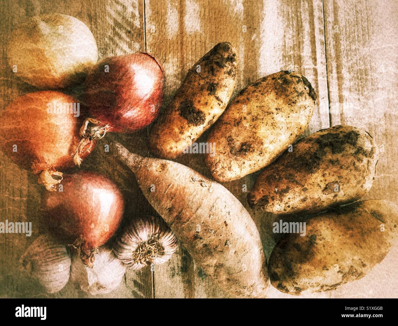 Les pommes de terre fraîchement creusé recouvert de boue, une patate douce, différents types d'oignons et l'ail, high angle view Banque D'Images