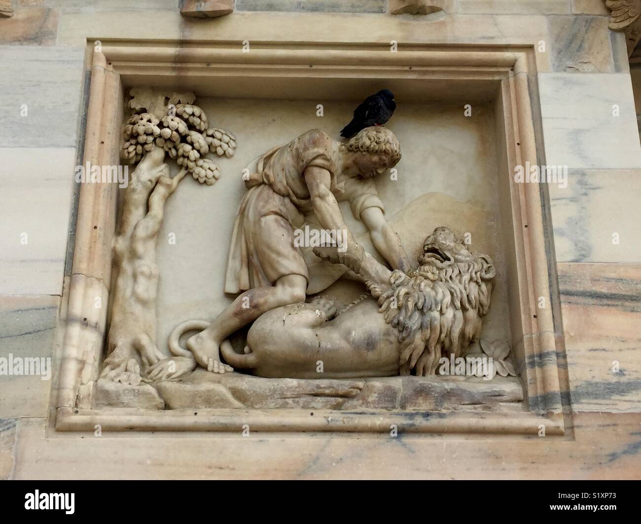 Le lion et le pigeon, façade de Duomo di Milano Banque D'Images