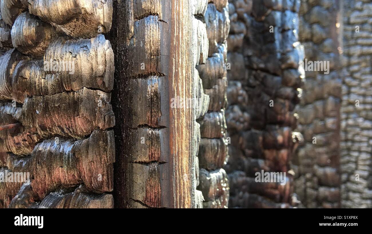 Les cadres de porte gravé dans la maison détruite par les incendies en Californie - Image de stock capturée avec un smartphone