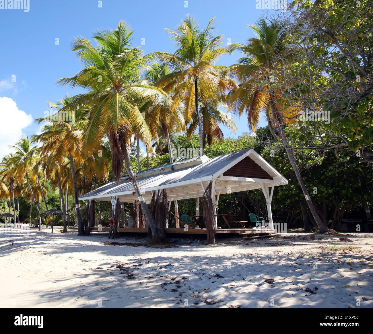 Un abri de plage et de palmiers s'asseoir au bord de l'eau, à l'Honeymoon Beach sur l'île de l'eau juste à côté de Saint Thomas dans les îles Vierges américaines. Banque D'Images
