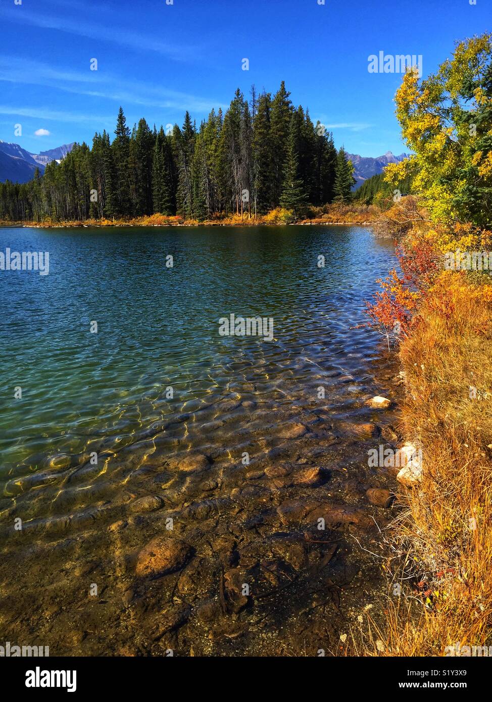 Lac Olive, parc national Kootenay. C.-B. Canada Banque D'Images